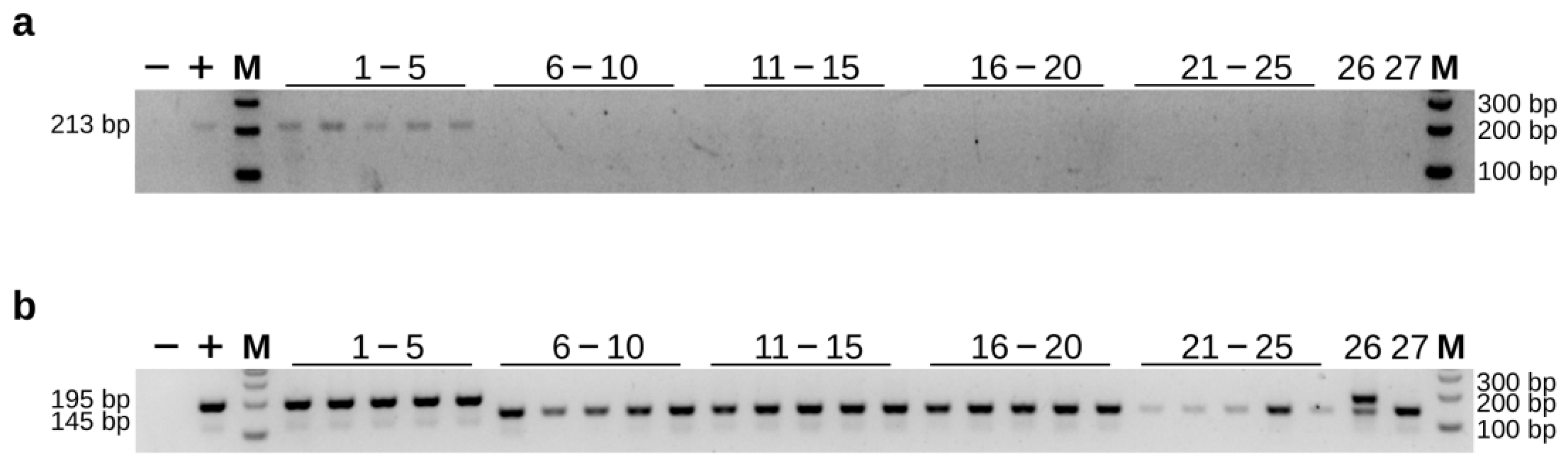Diversity 15 00689 g006 Diversity 15 00689 g006