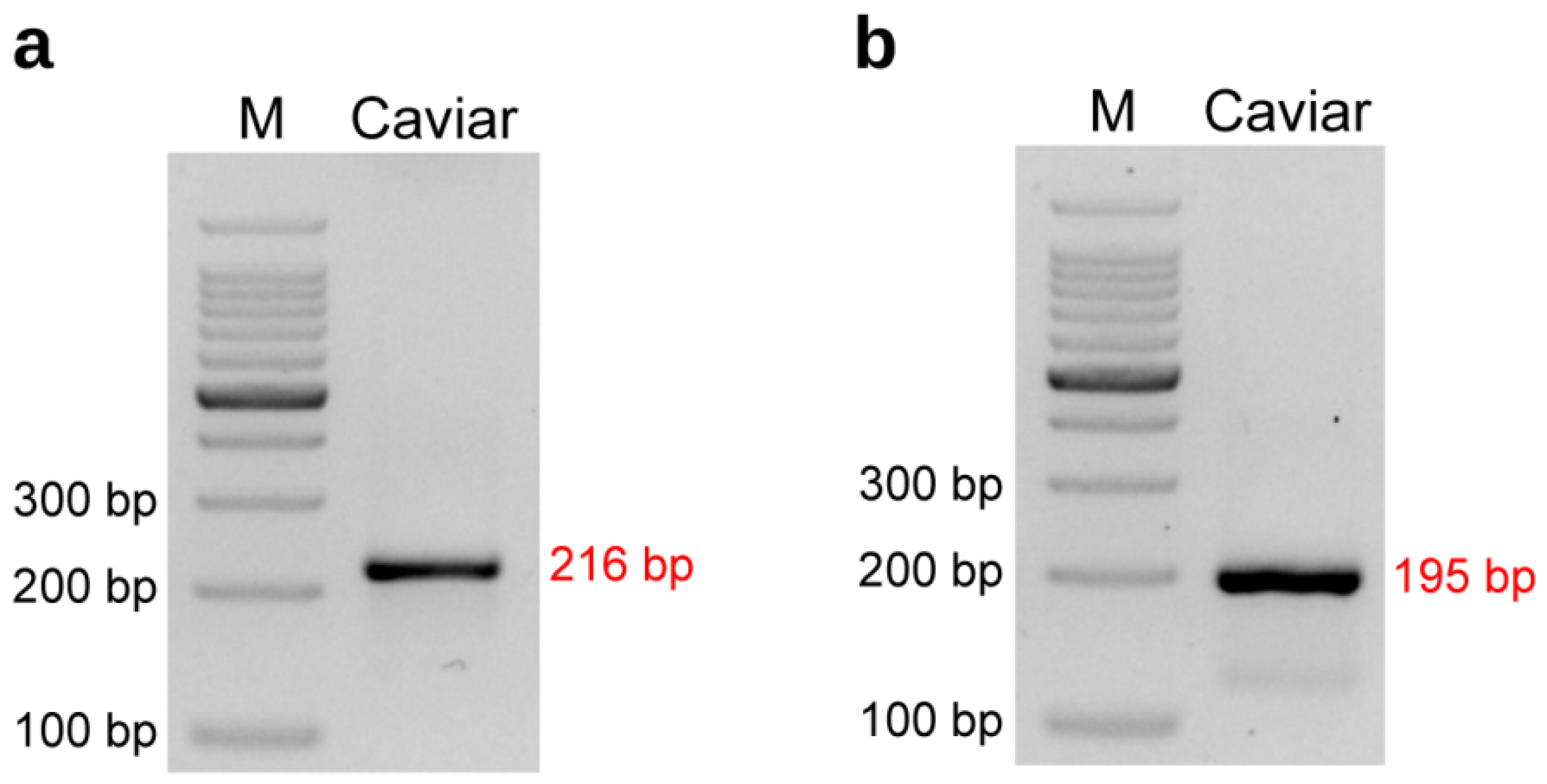 Diversity 15 00689 g009 Diversity 15 00689 g009