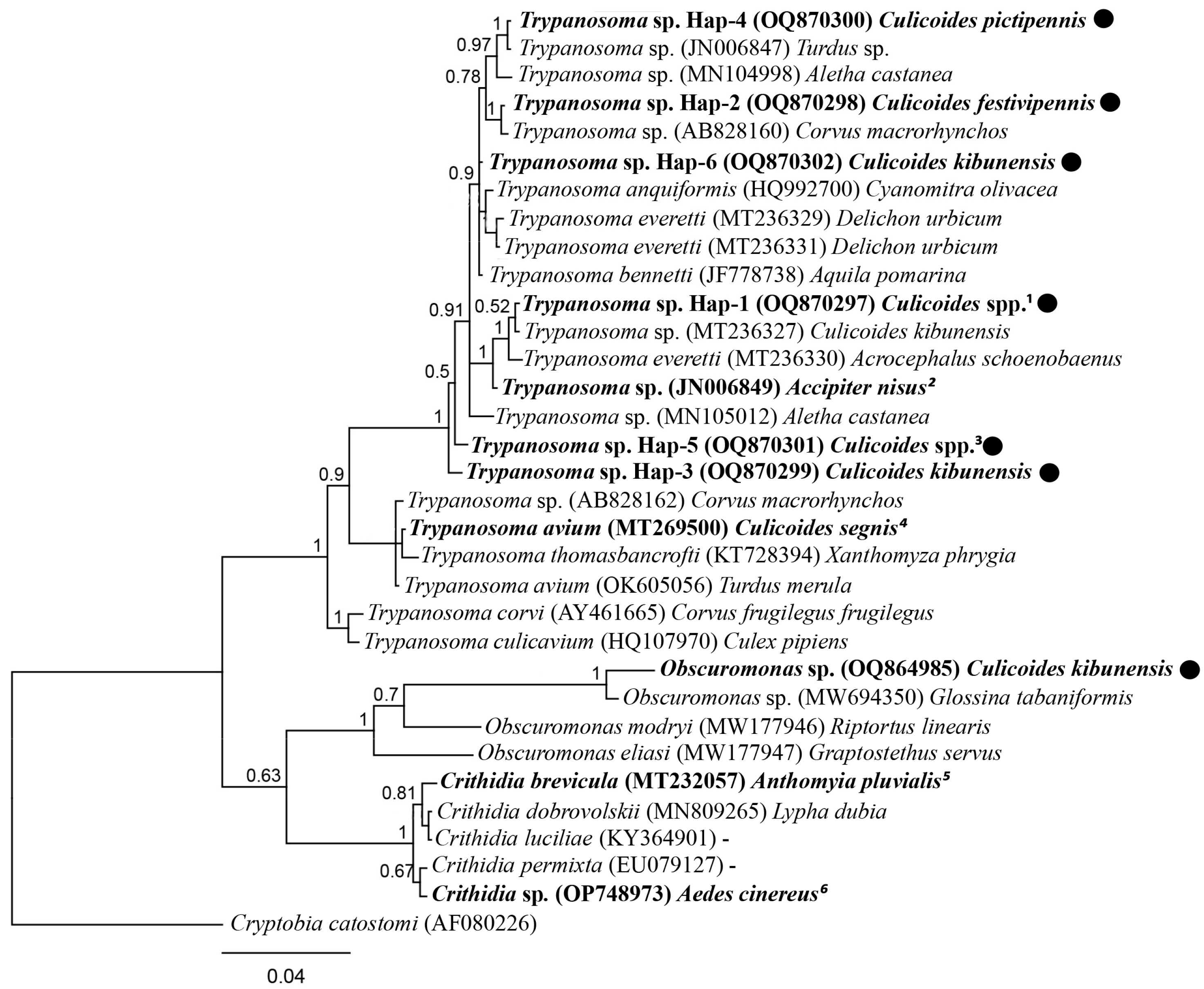 Diversity 15 00692 g002