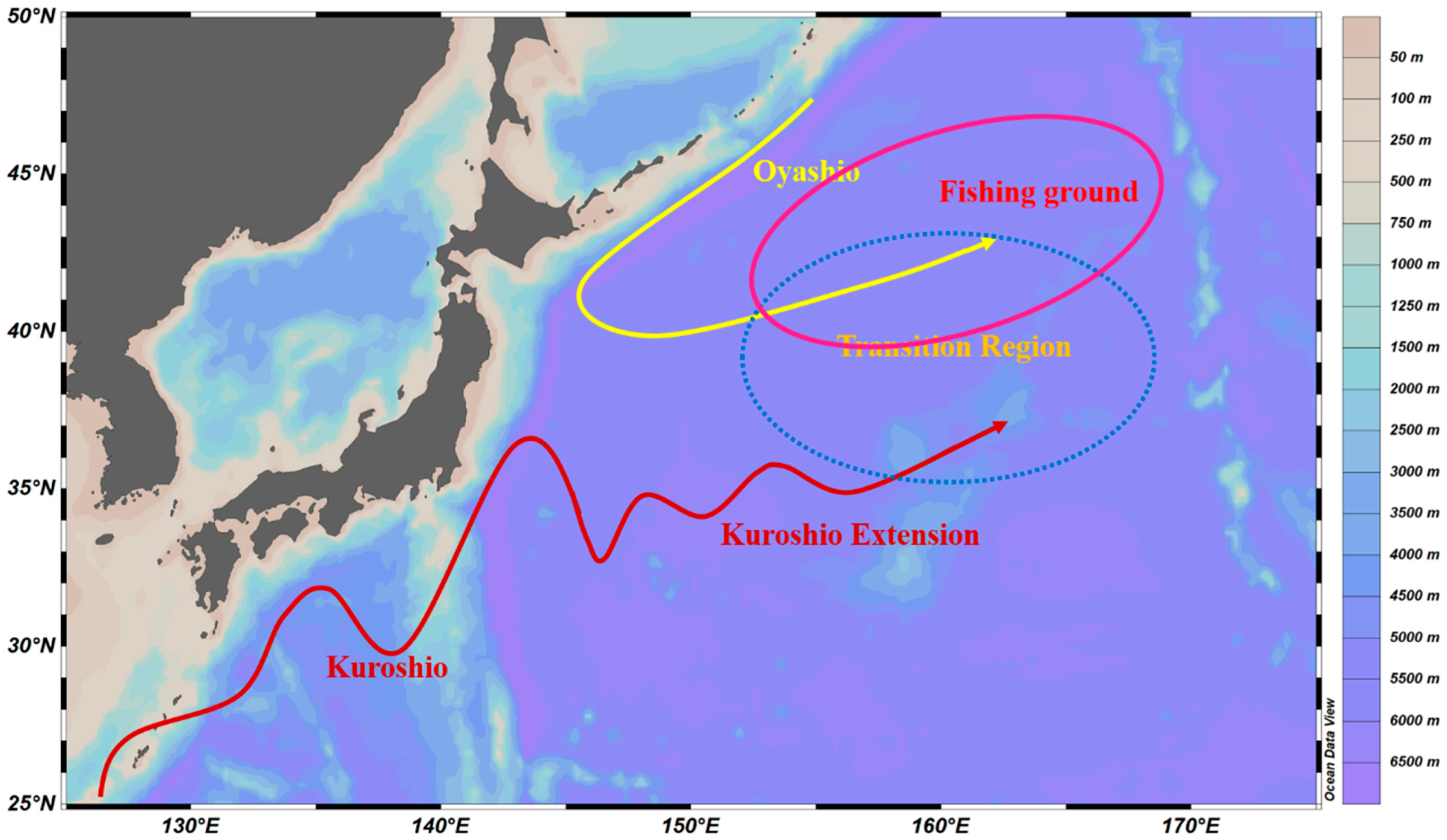 Diversity 15 00694 g001 Diversity 15 00694 g001