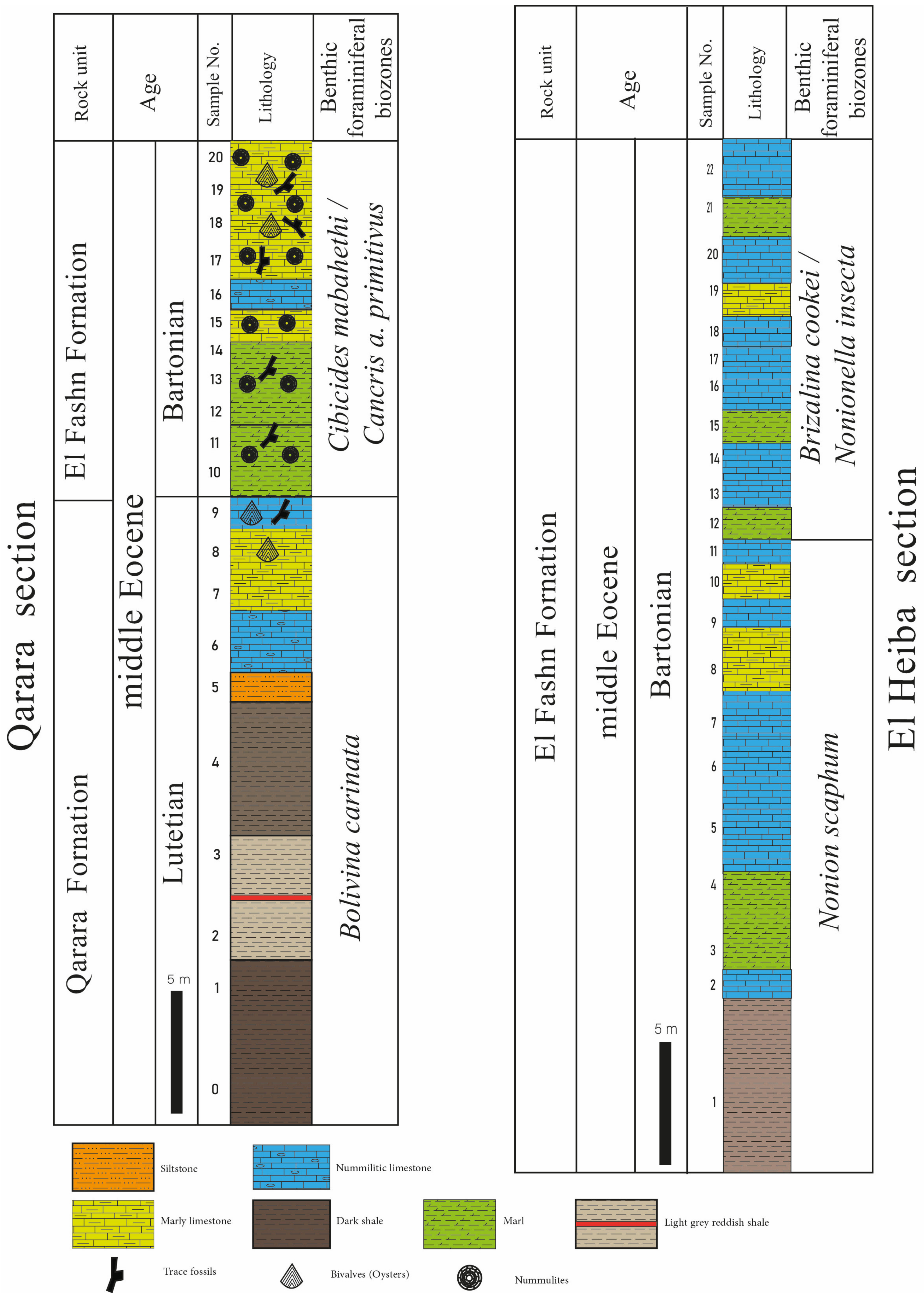 Diversity 15 00695 g002 Diversity 15 00695 g002