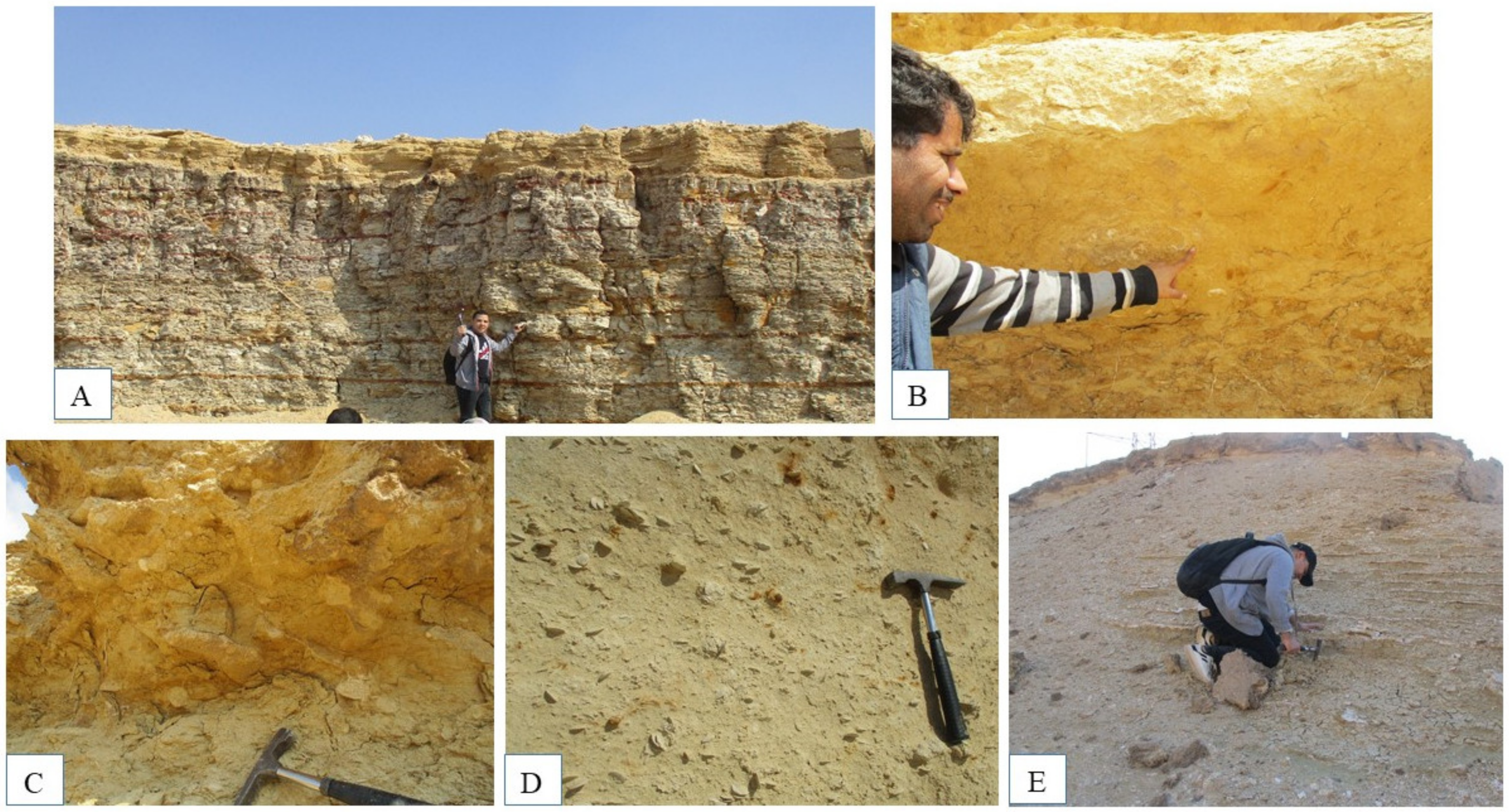 Diversity 15 00695 g003 Diversity 15 00695 g003