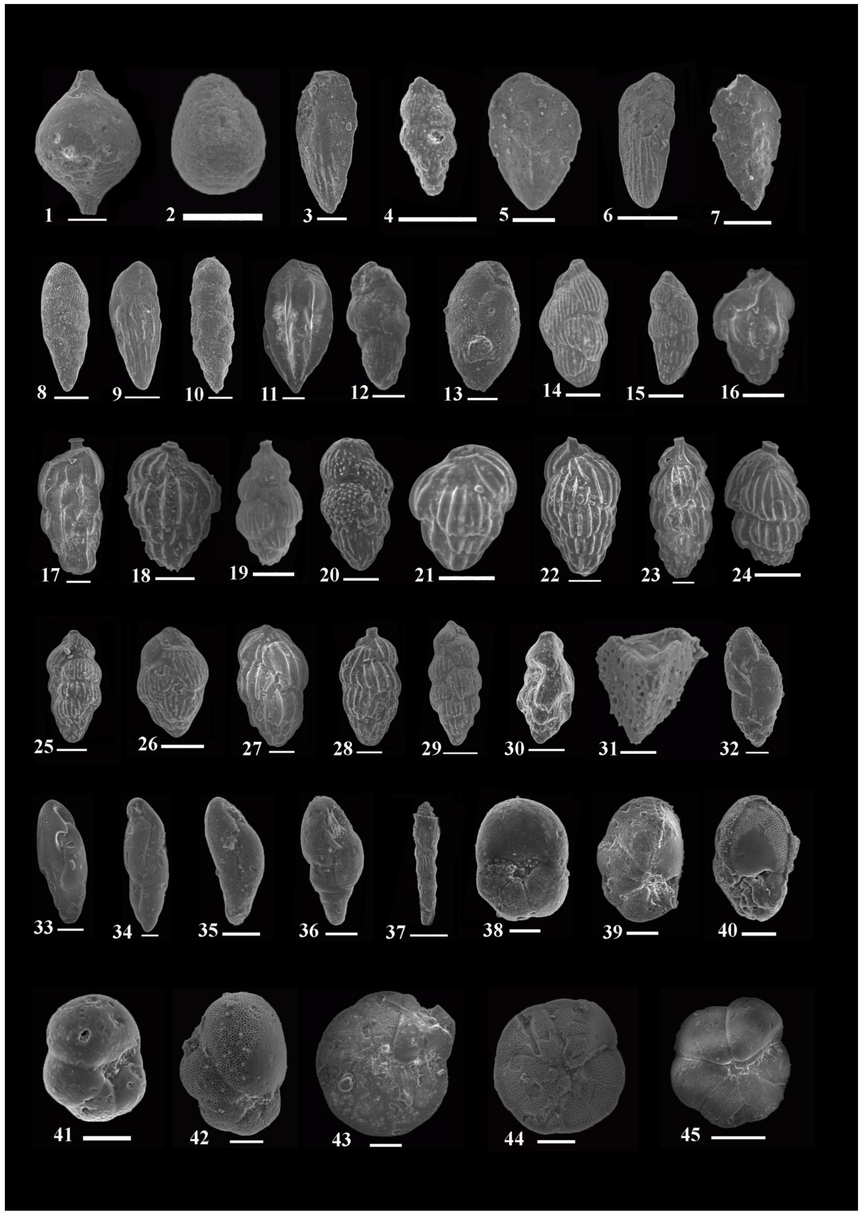 Diversity 15 00695 g005 Diversity 15 00695 g005