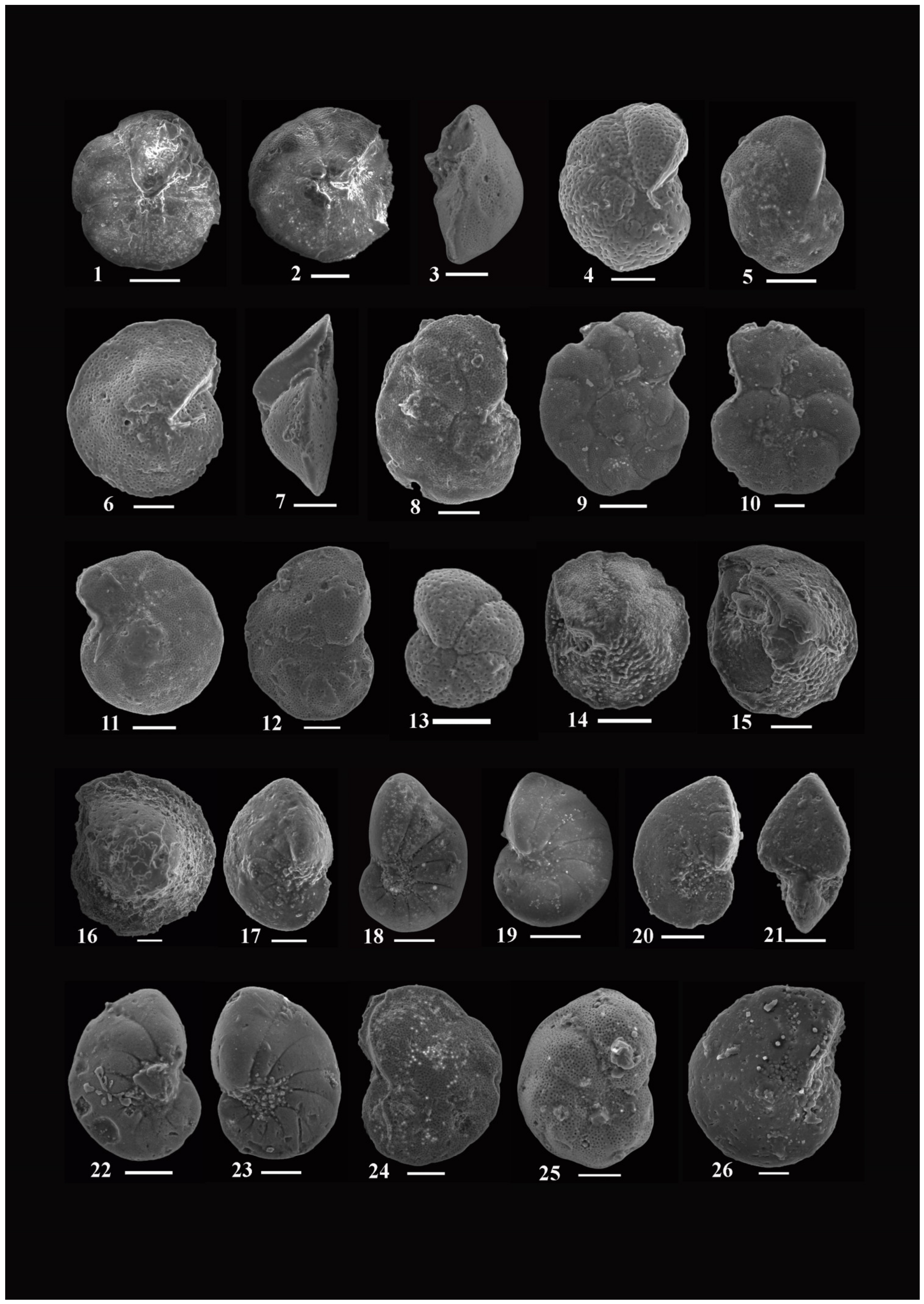 Diversity 15 00695 g006 Diversity 15 00695 g006