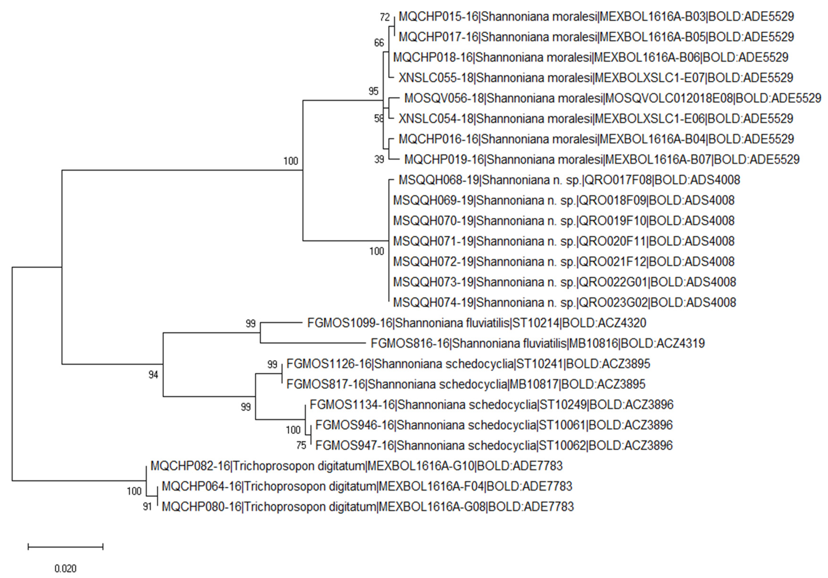 Diversity 15 00697 g003