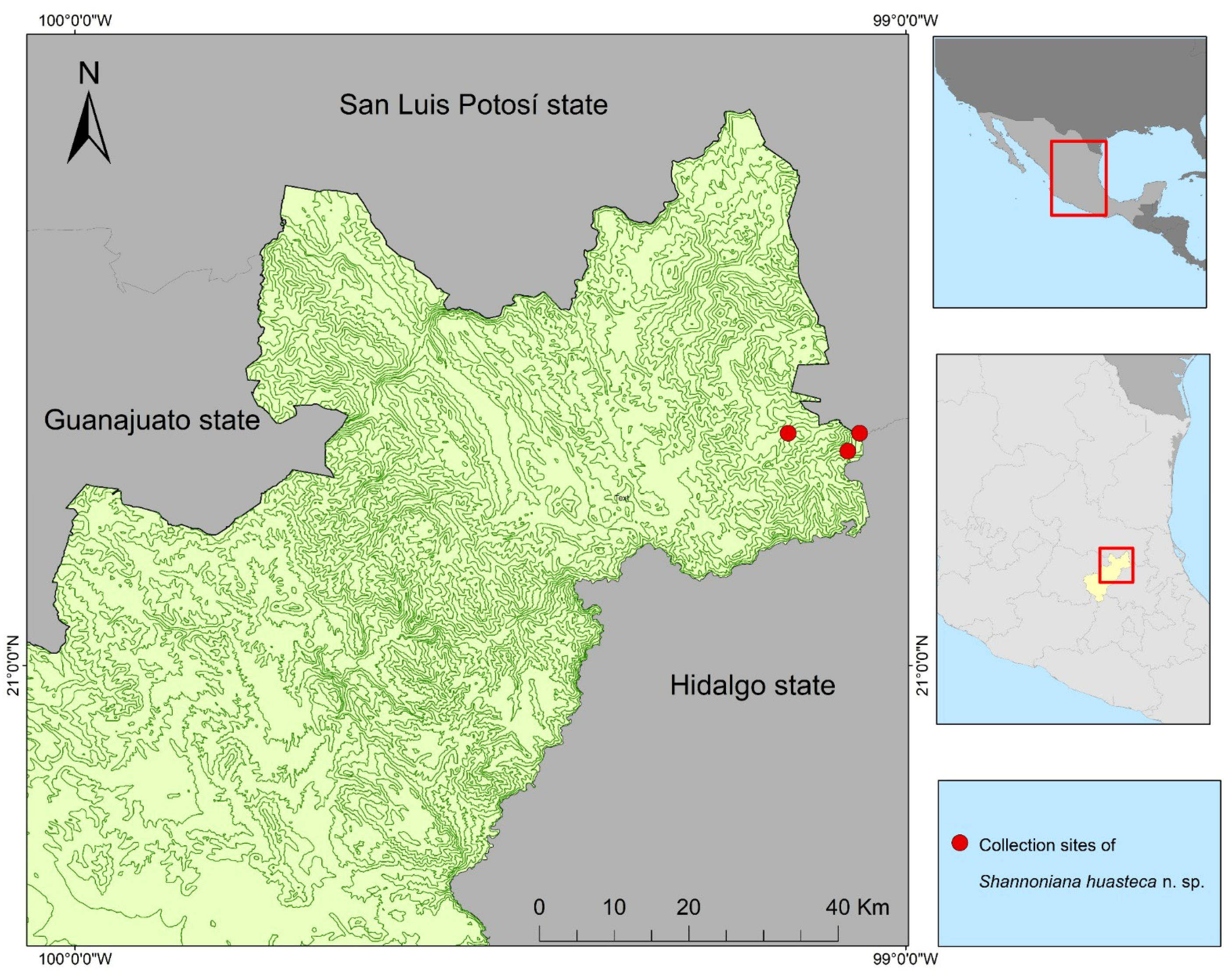 Diversity 15 00697 g004