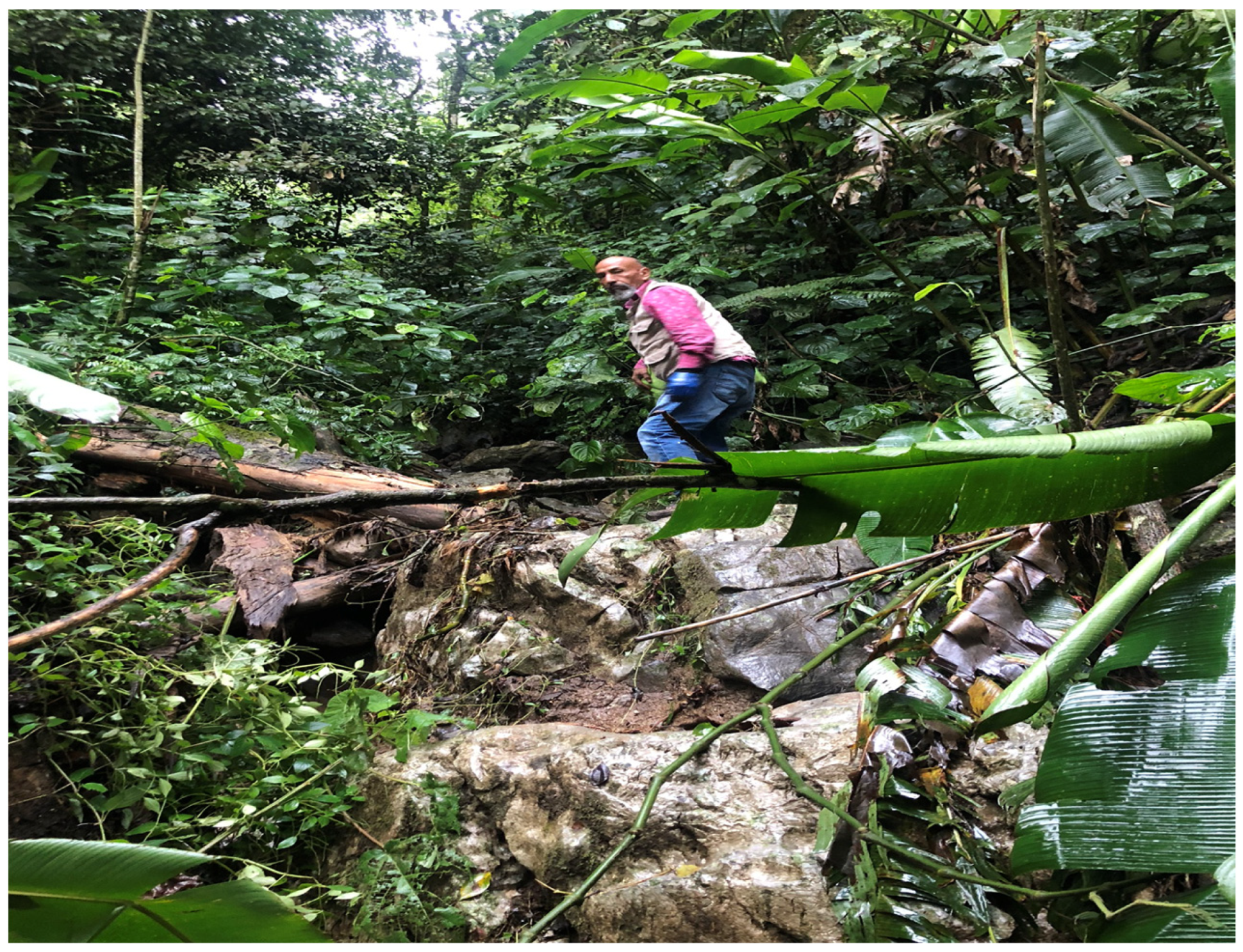 Diversity 15 00697 g005