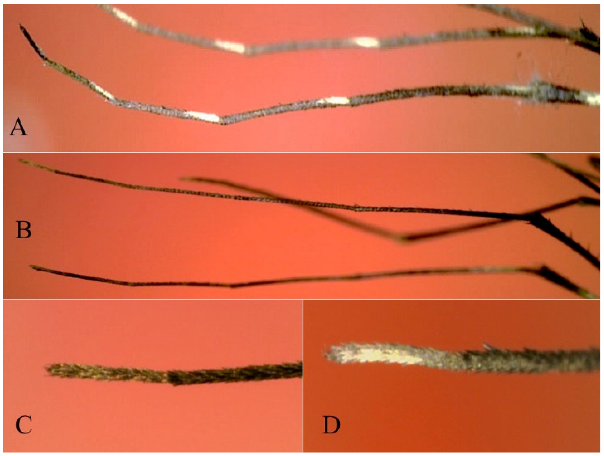 Diversity 15 00697 g009