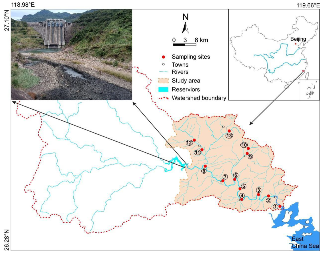 Diversity 15 00698 g001