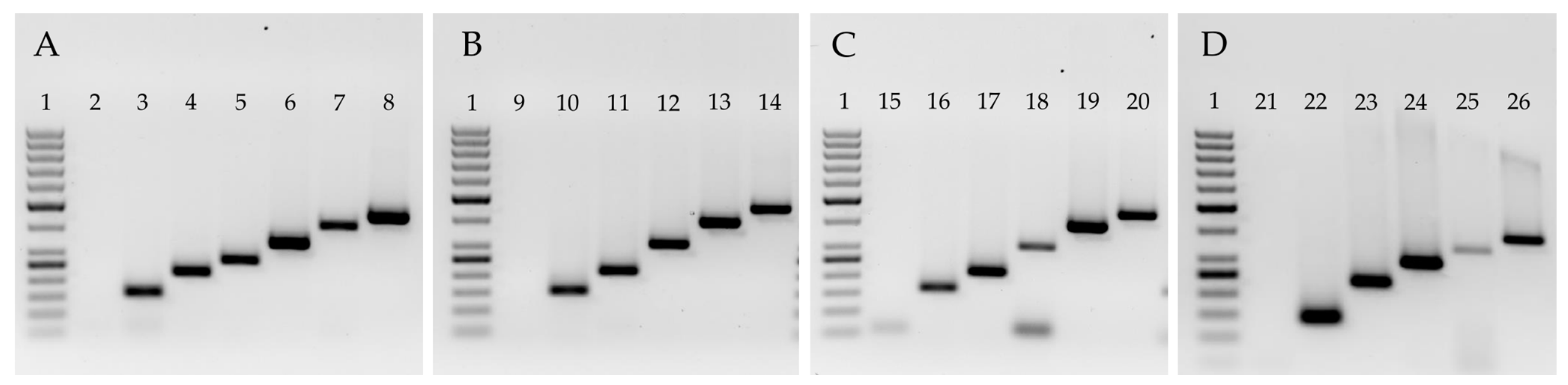 Diversity 15 00699 g002 Diversity 15 00699 g002