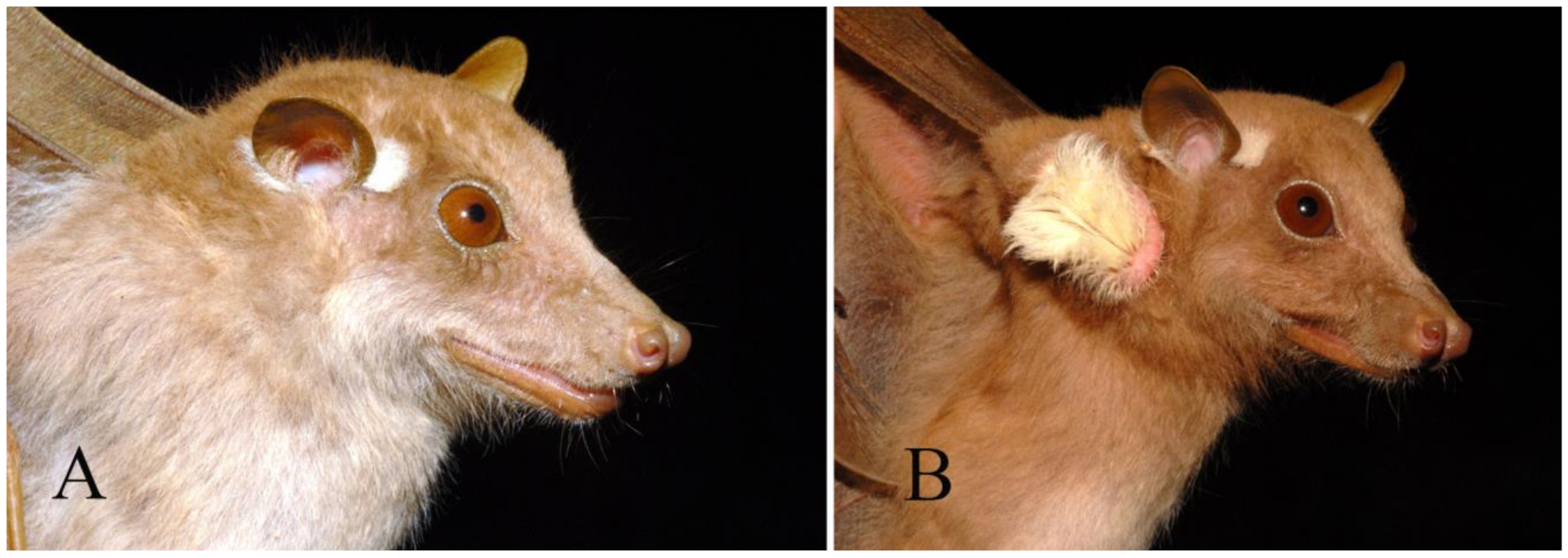 Diversity 15 00700 g006 Diversity 15 00700 g006