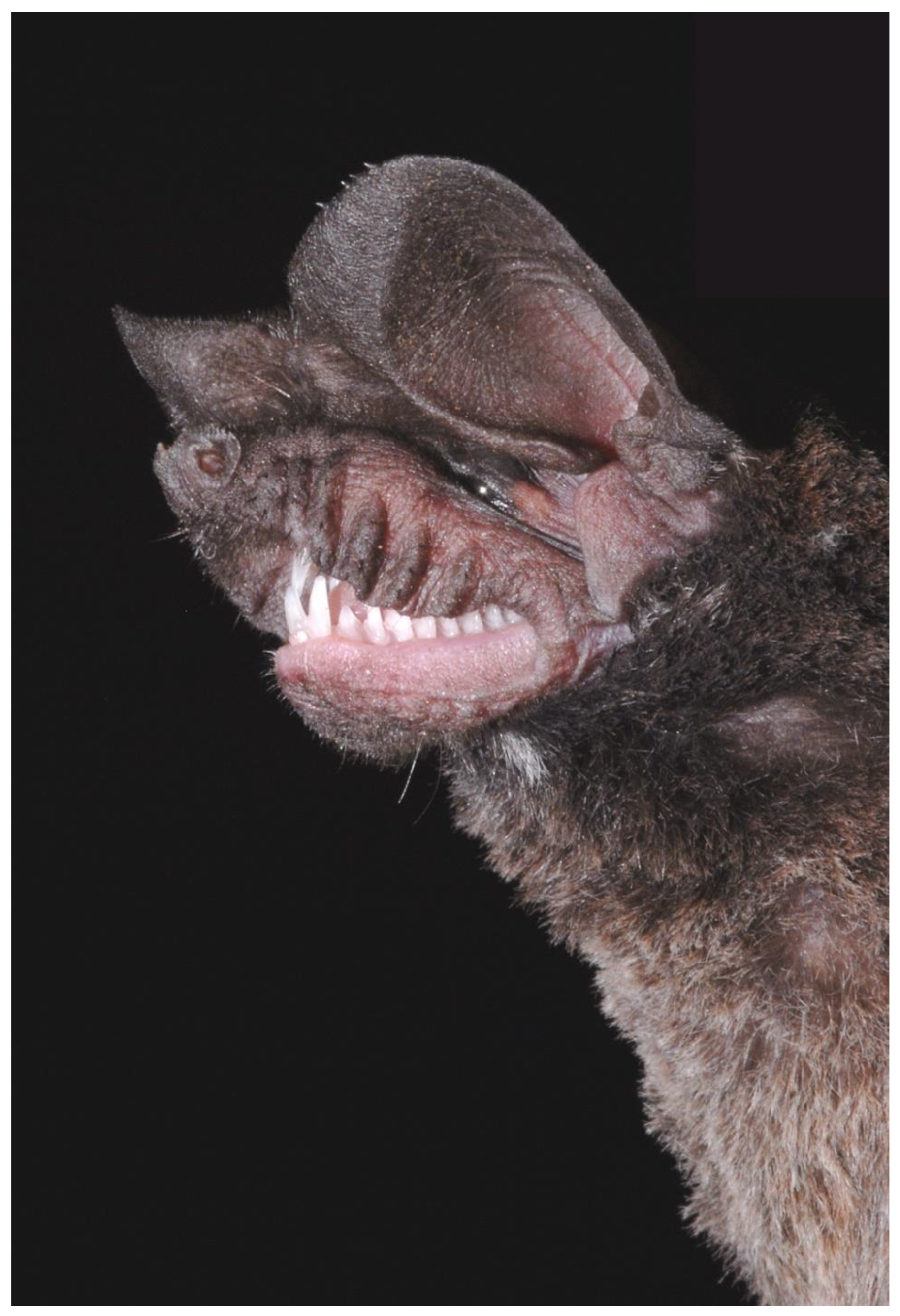 Diversity 15 00700 g017 Diversity 15 00700 g017