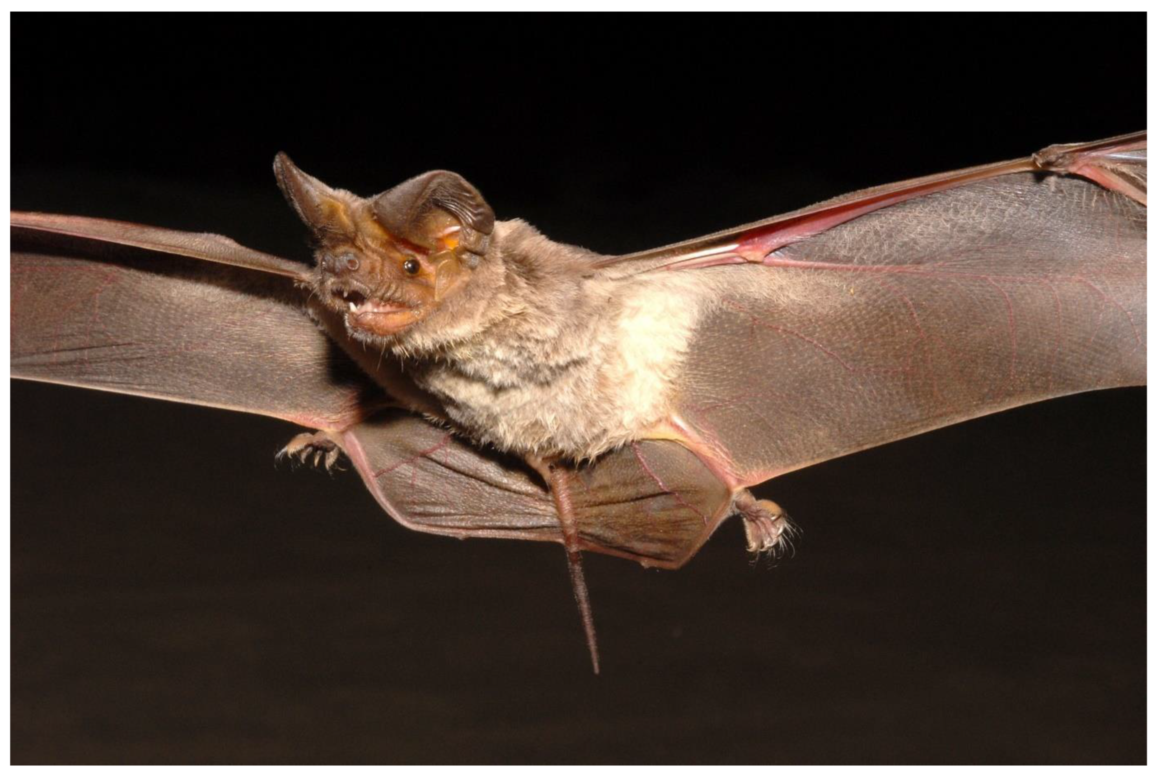 Diversity 15 00700 g019 Diversity 15 00700 g019