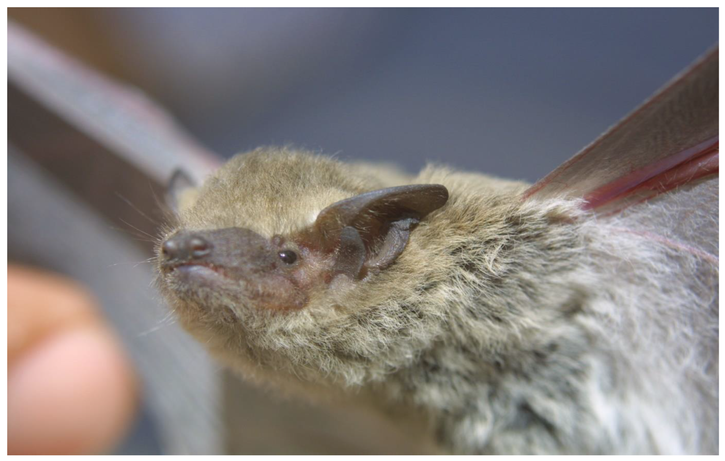 Diversity 15 00700 g028 Diversity 15 00700 g028