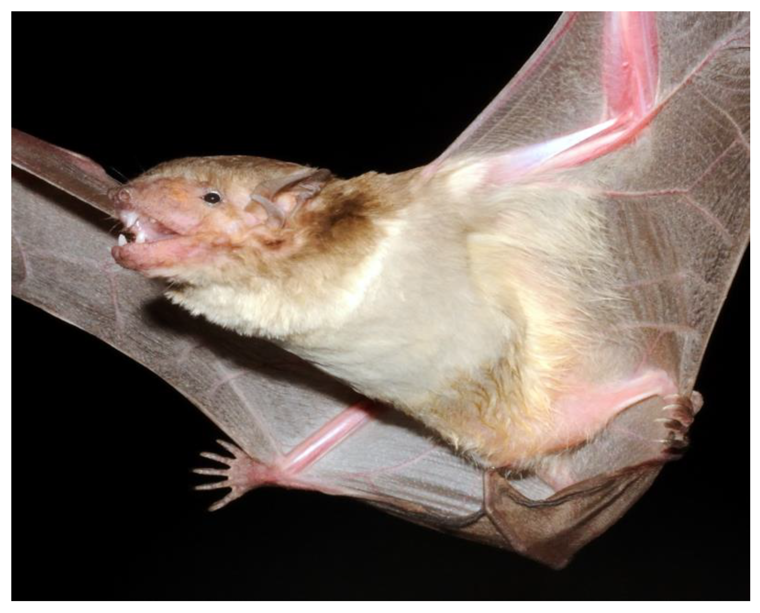 Diversity 15 00700 g030 Diversity 15 00700 g030