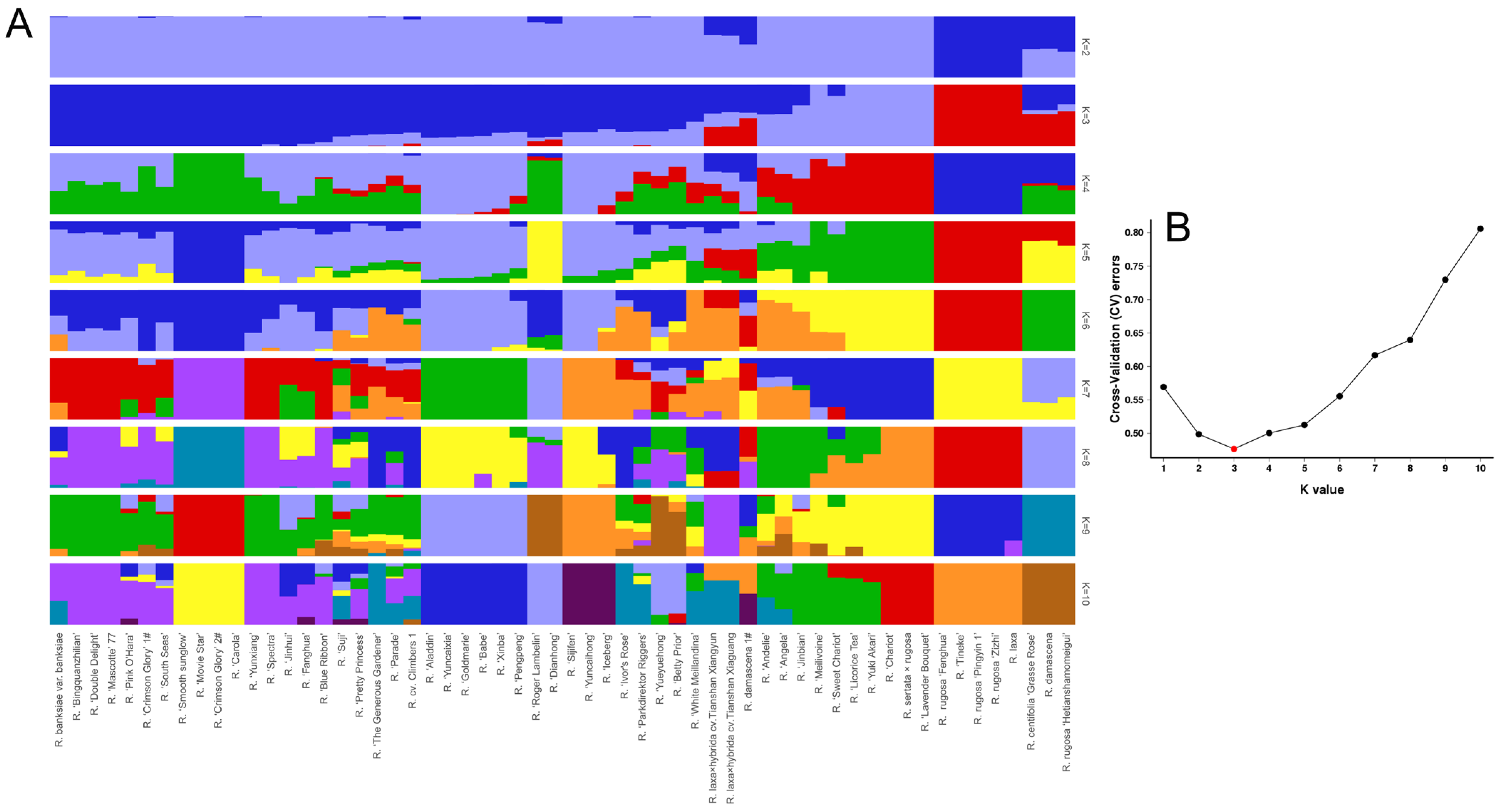 Diversity 15 00701 g002 Diversity 15 00701 g002