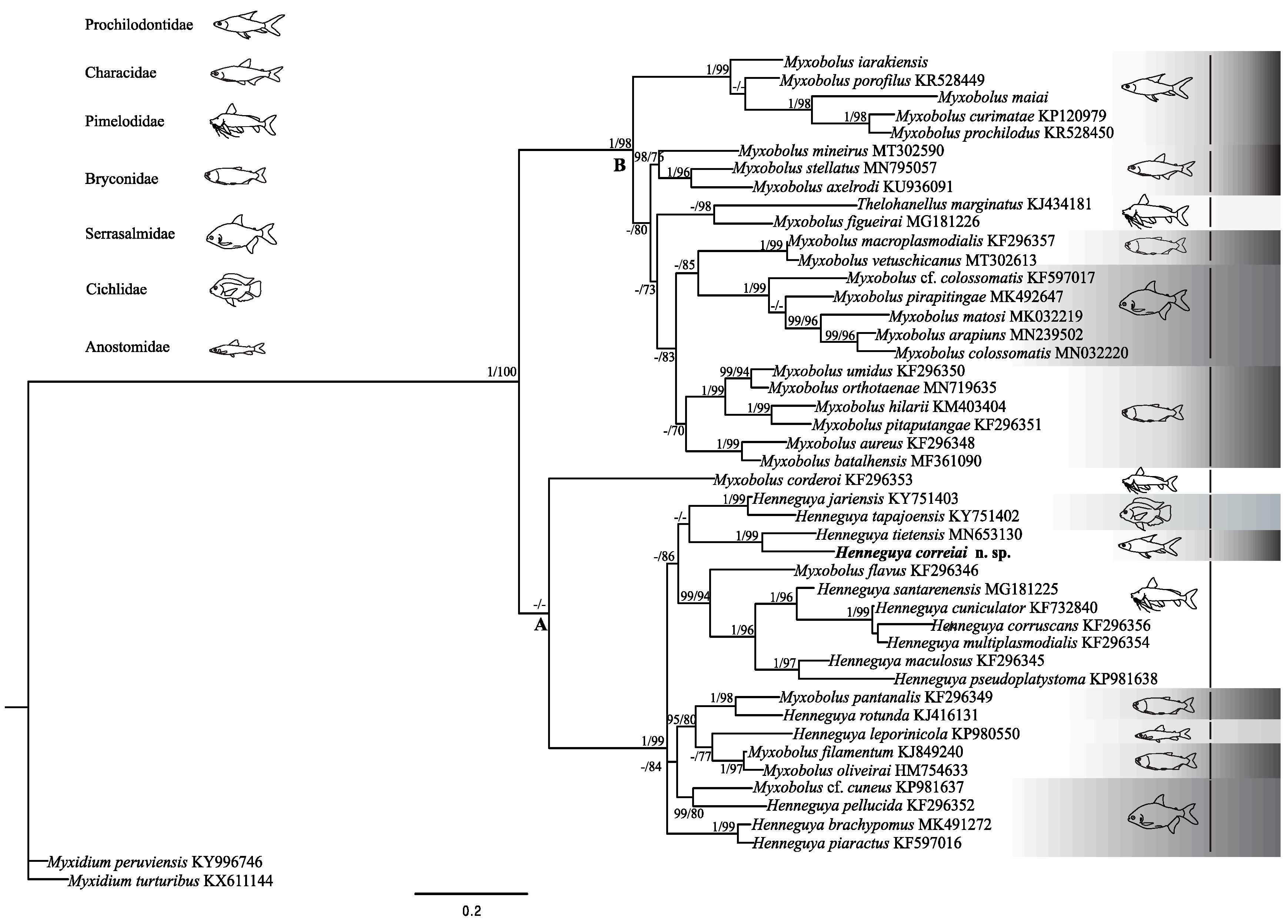 Diversity 15 00702 g004