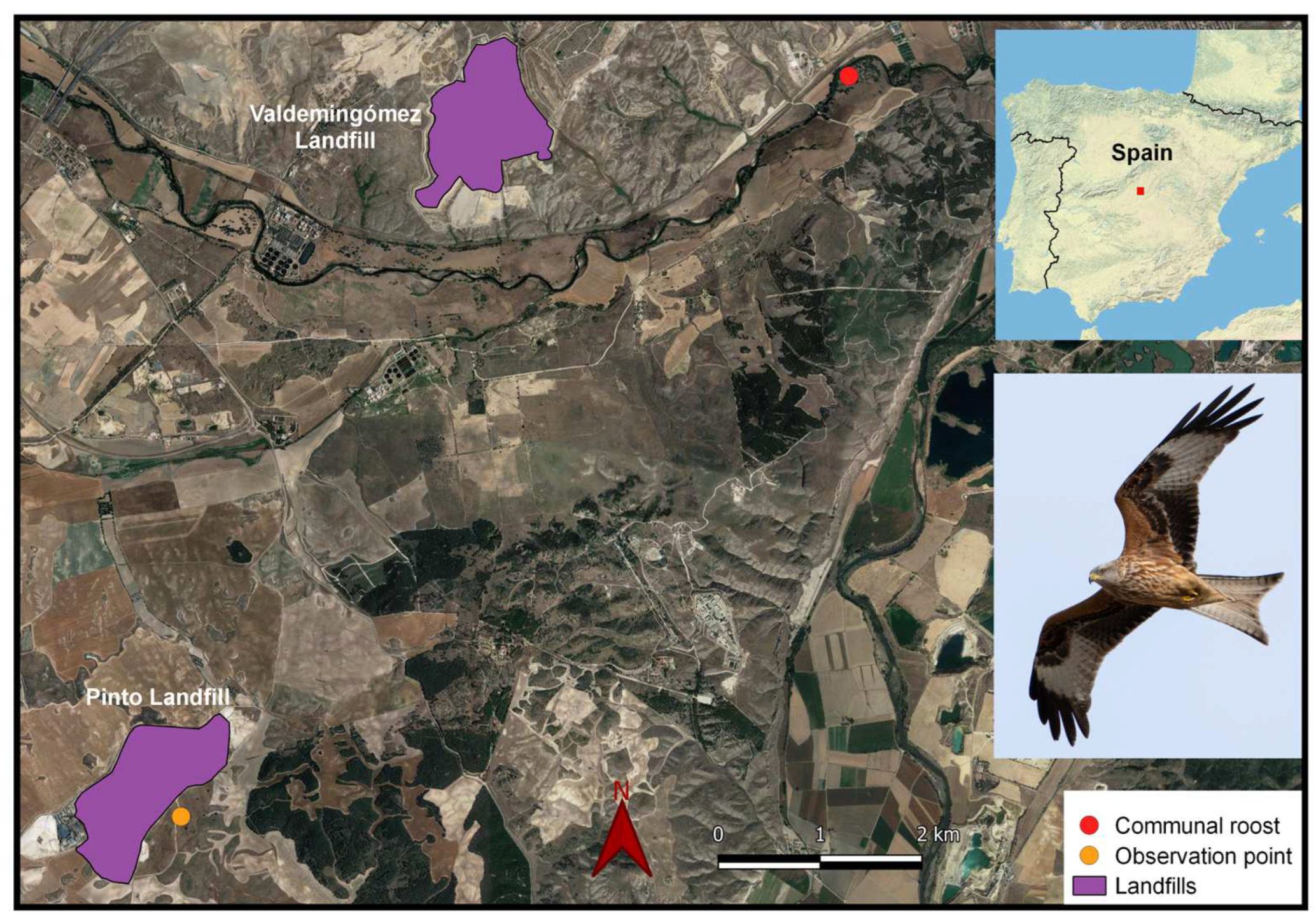 Diversity 15 00704 g001