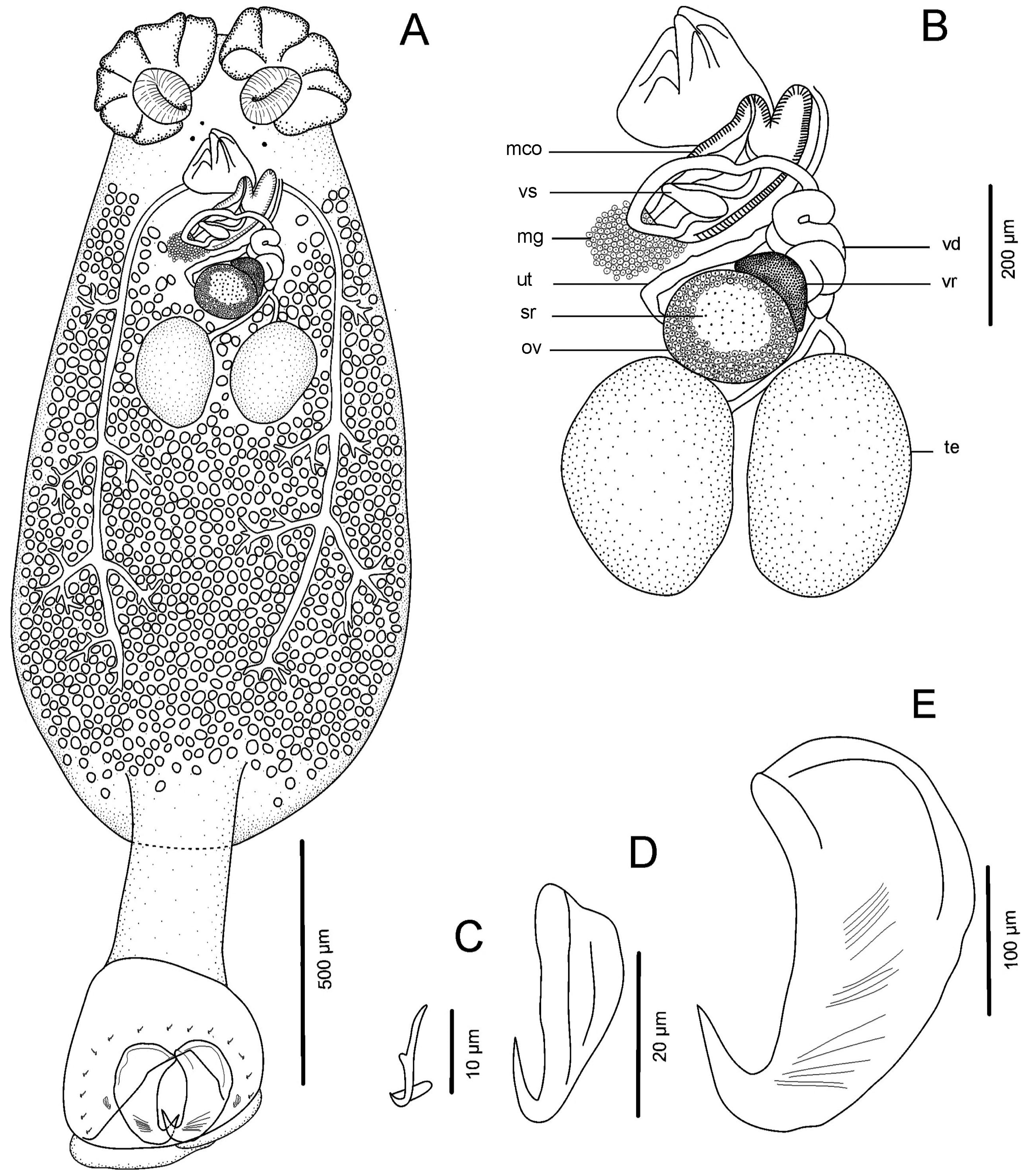 Diversity 15 00706 g001 Diversity 15 00706 g001