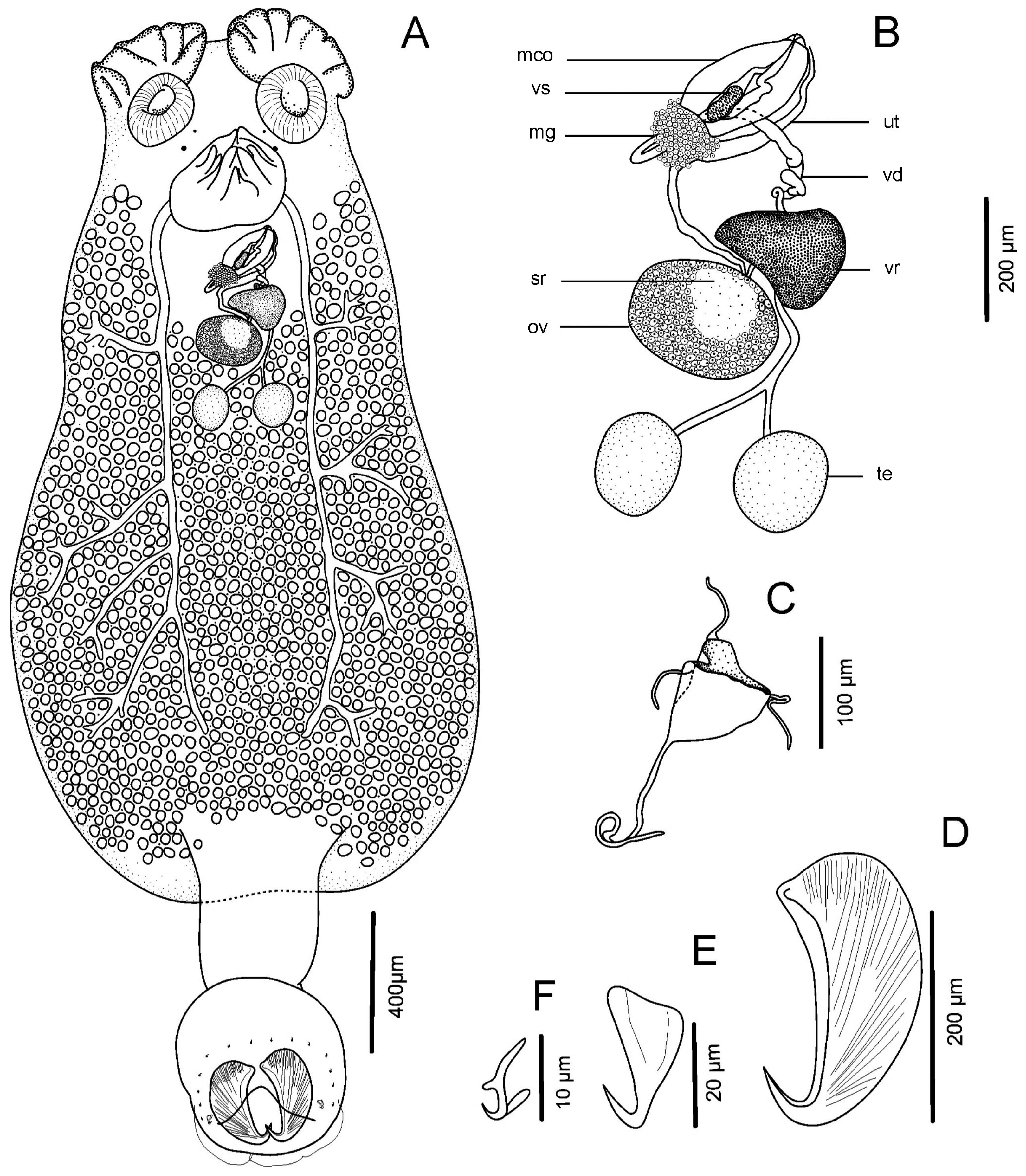 Diversity 15 00706 g002 Diversity 15 00706 g002