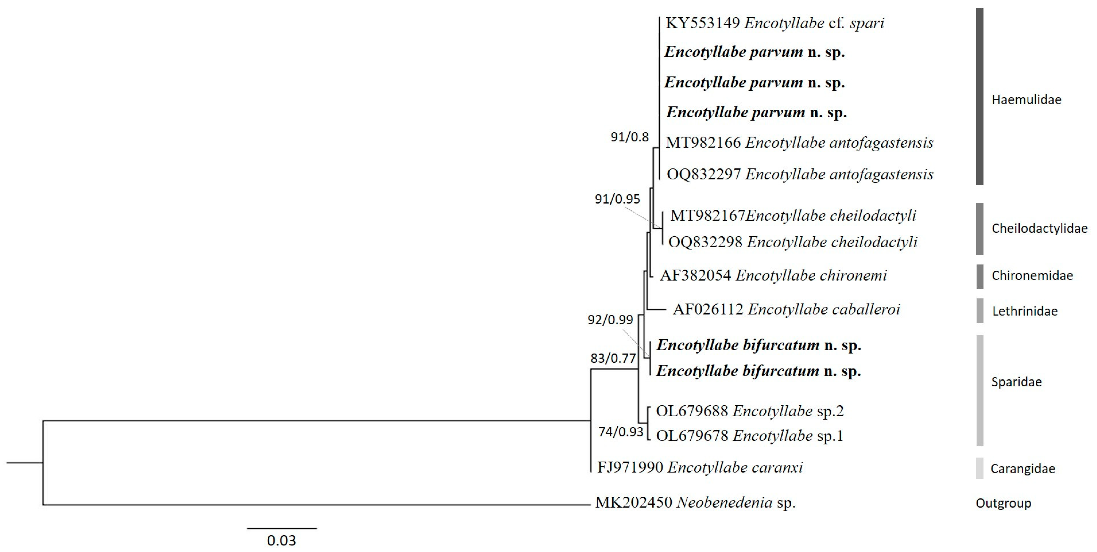 Diversity 15 00706 g004 Diversity 15 00706 g004