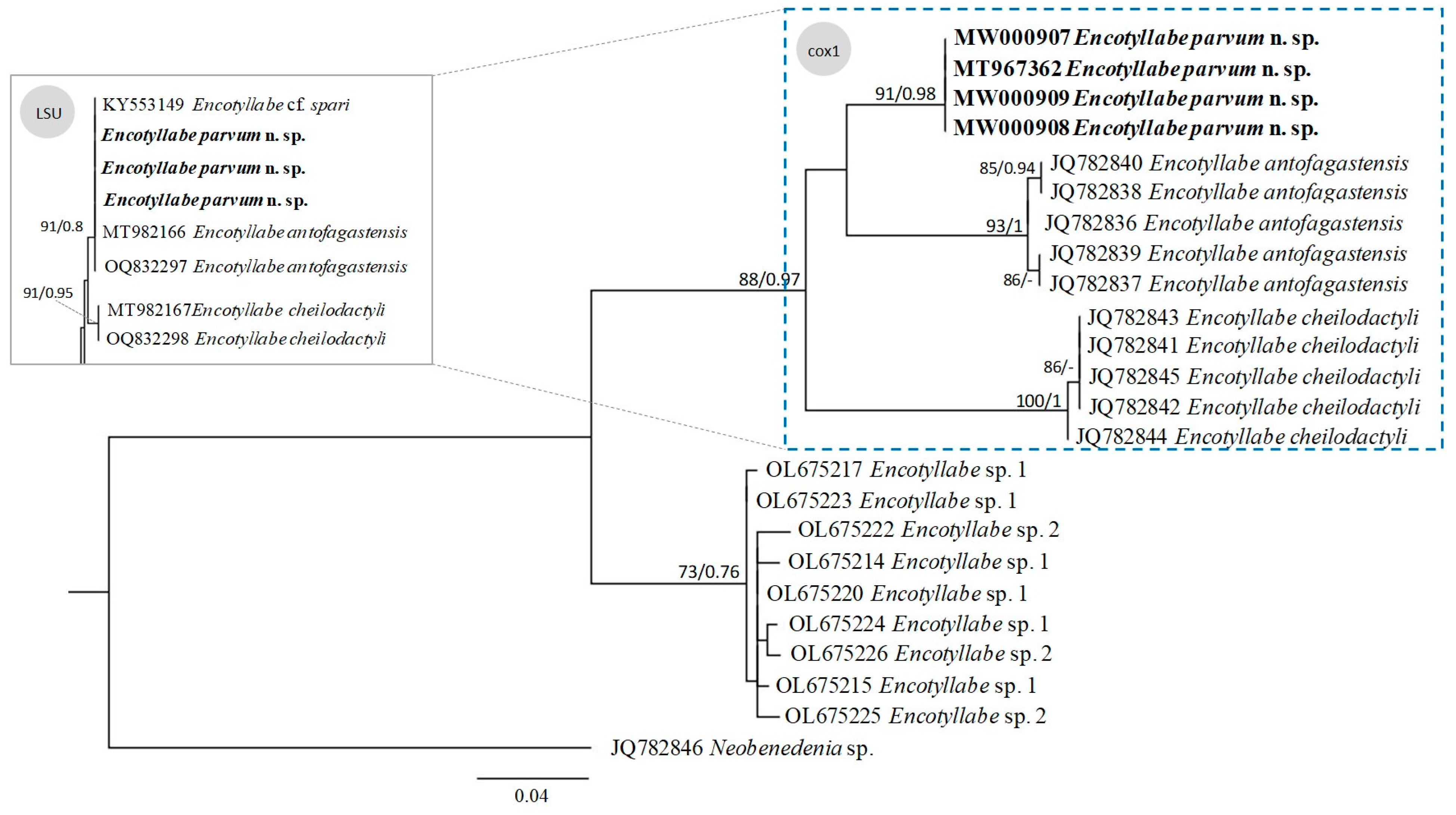 Diversity 15 00706 g005 Diversity 15 00706 g005