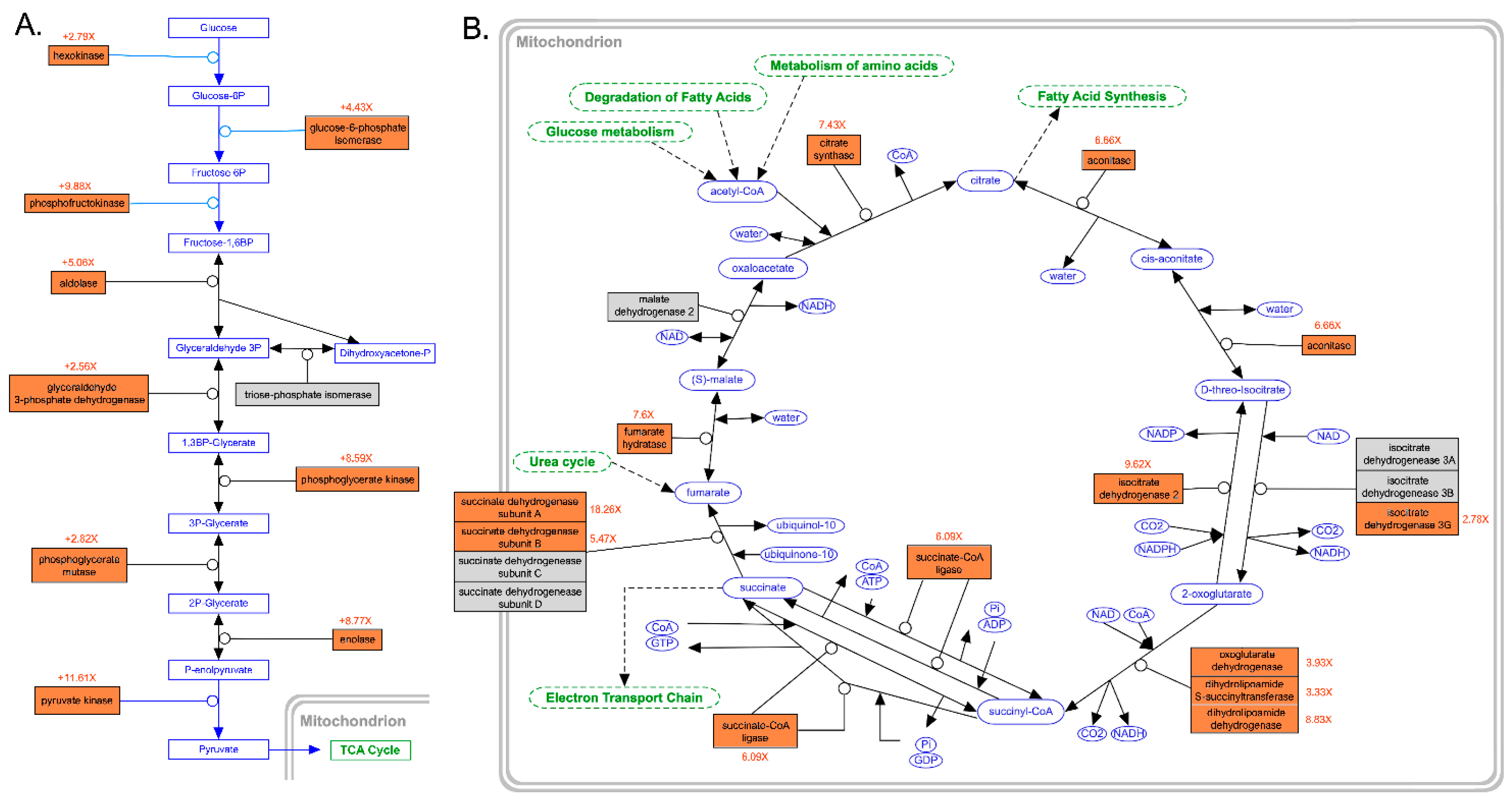 Diversity 15 00707 g005 Diversity 15 00707 g005