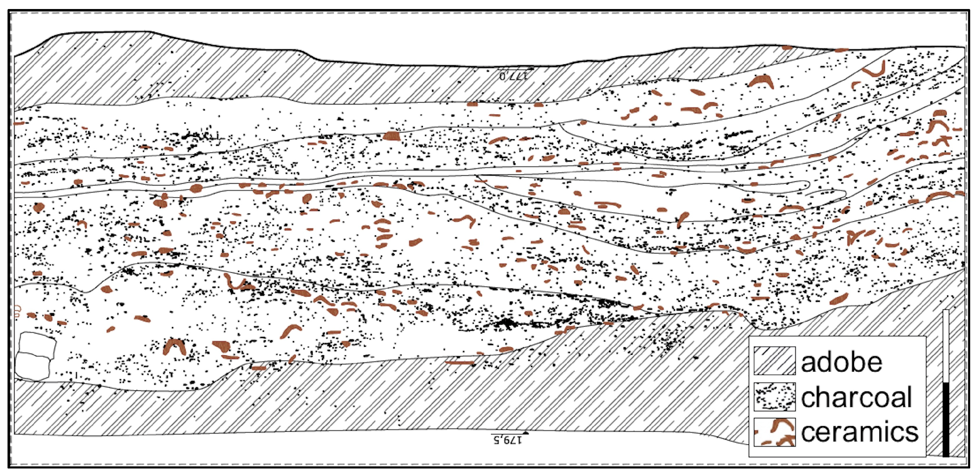 Diversity 15 00709 g002
