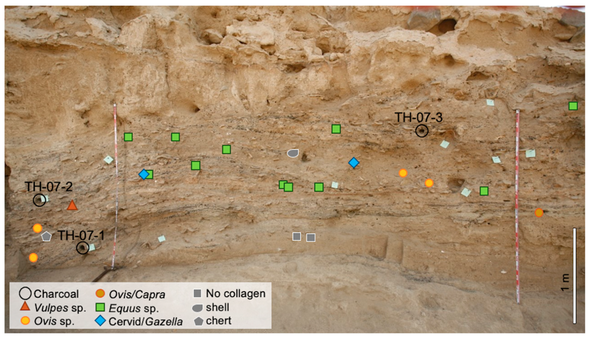 Diversity 15 00709 g004