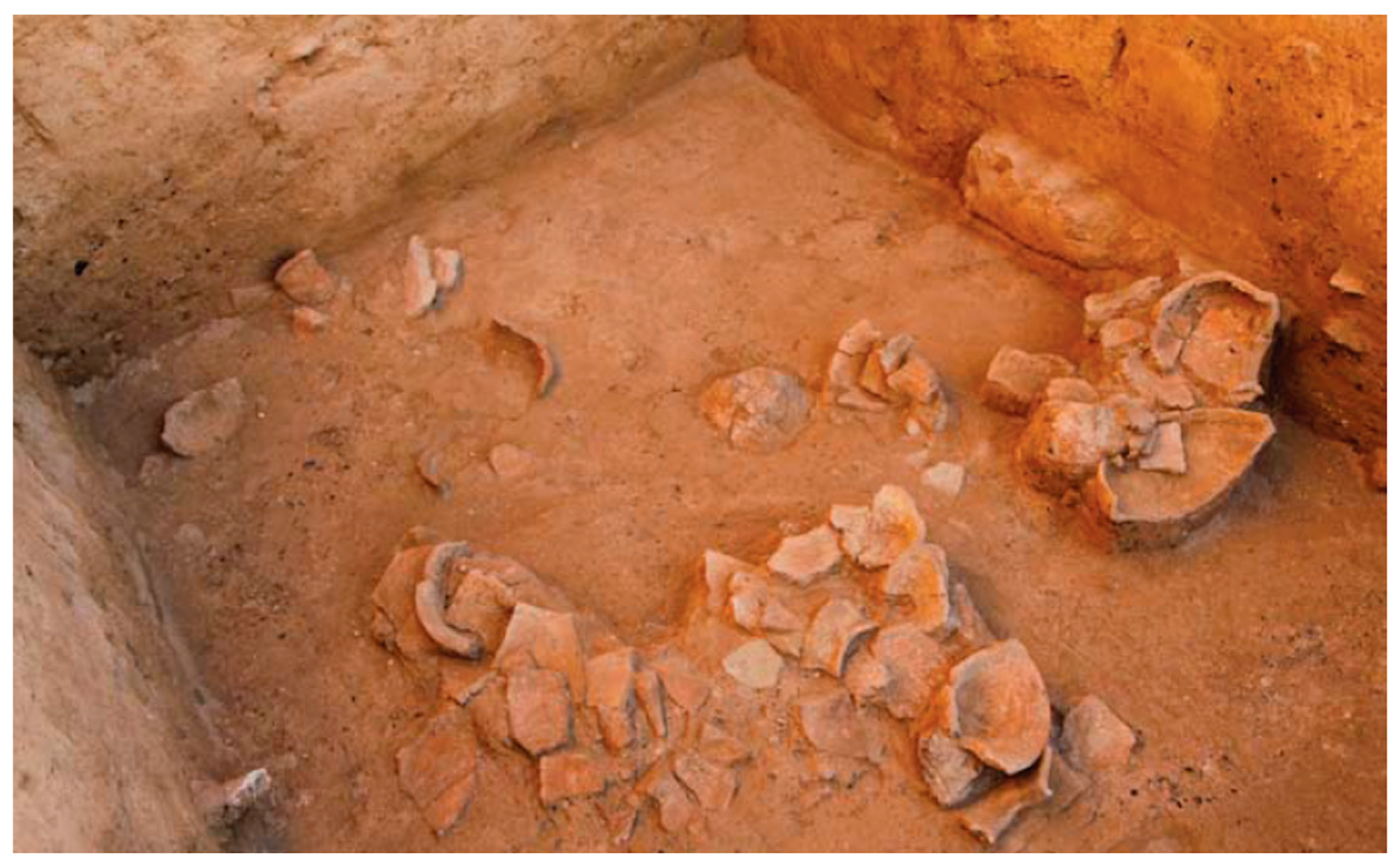 Diversity 15 00709 g005