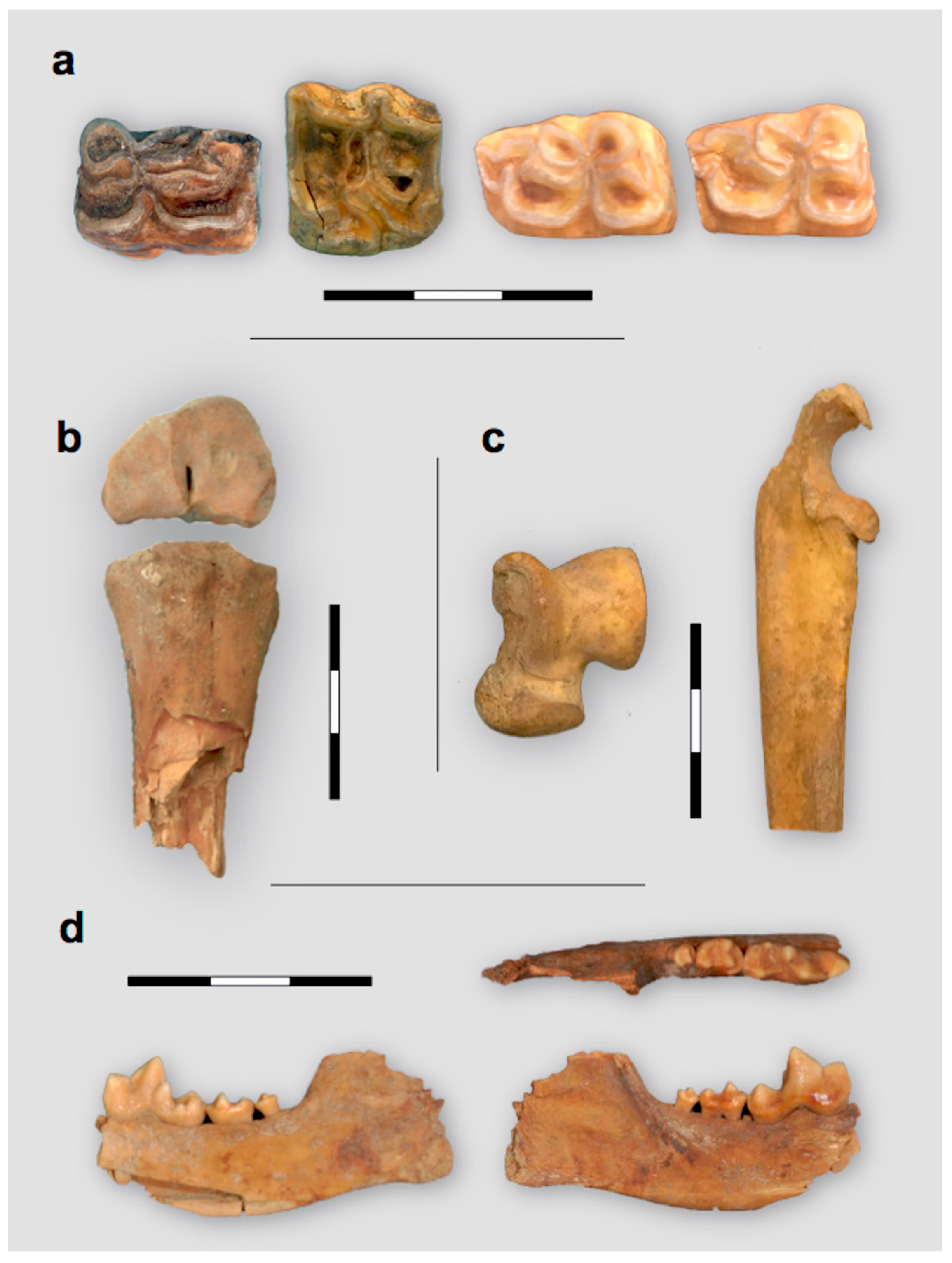 Diversity 15 00709 g006