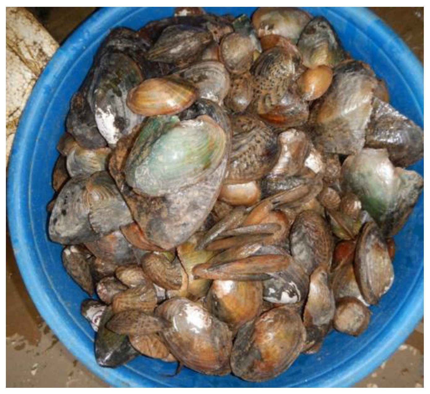 Diversity 15 00710 g001