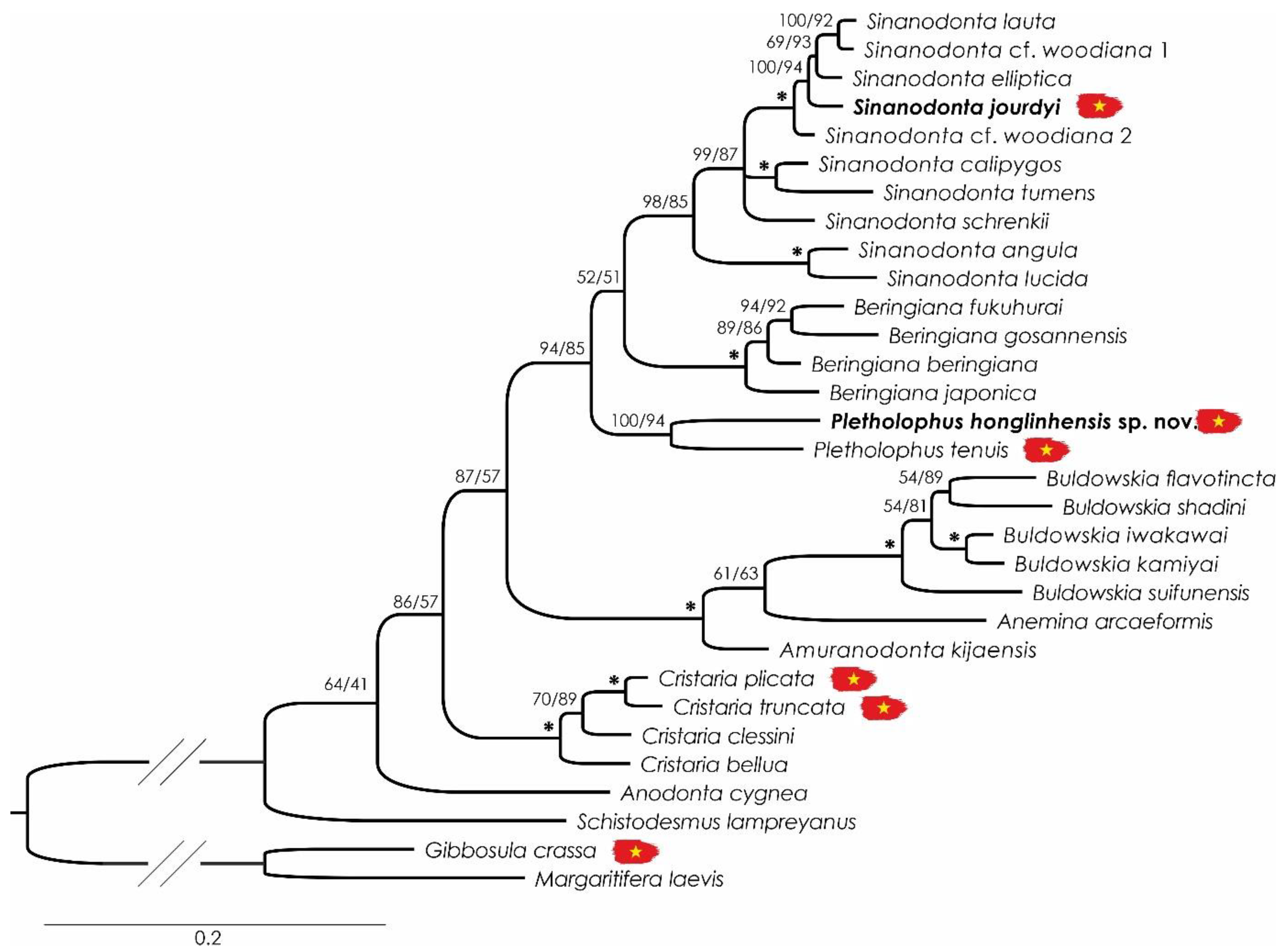 Diversity 15 00710 g003