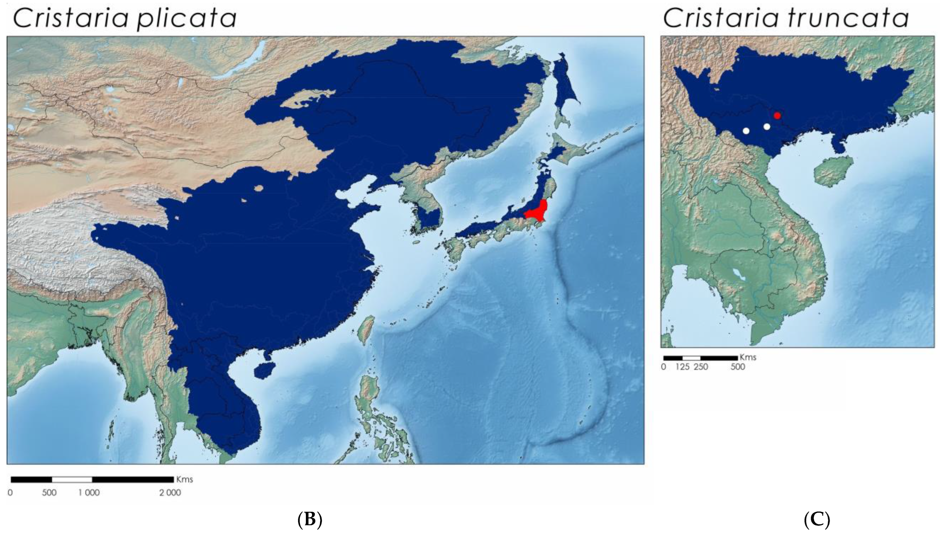 Diversity 15 00710 g004b