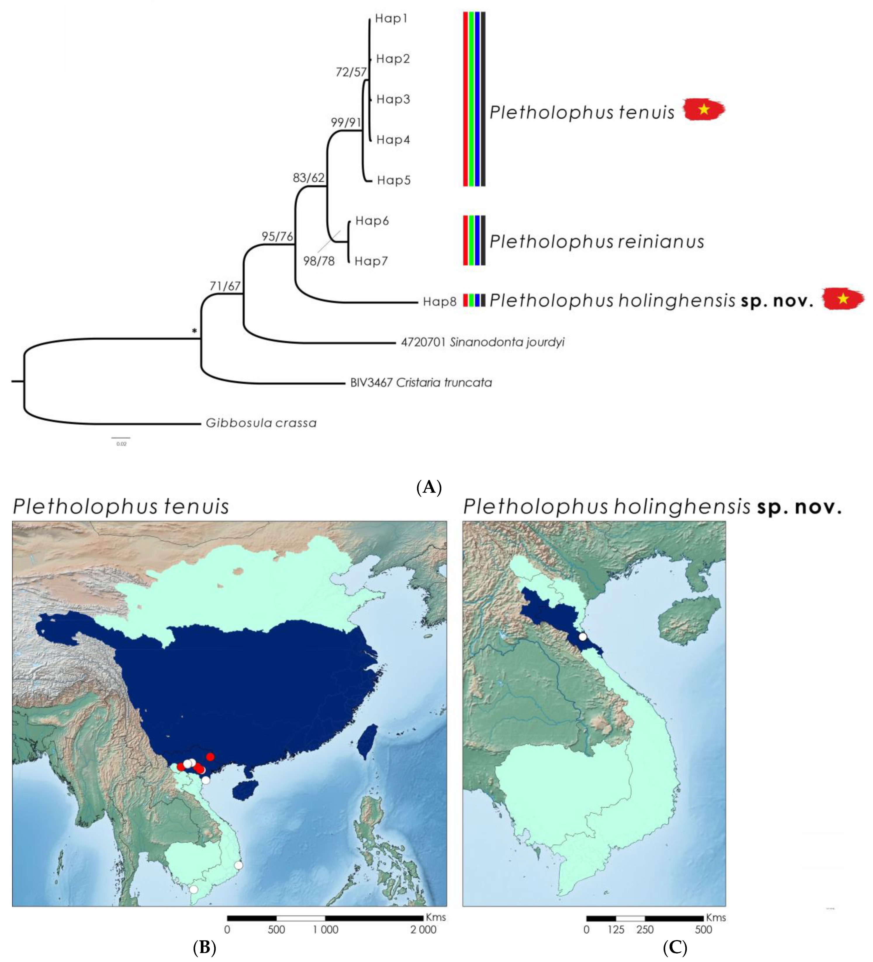 Diversity 15 00710 g005