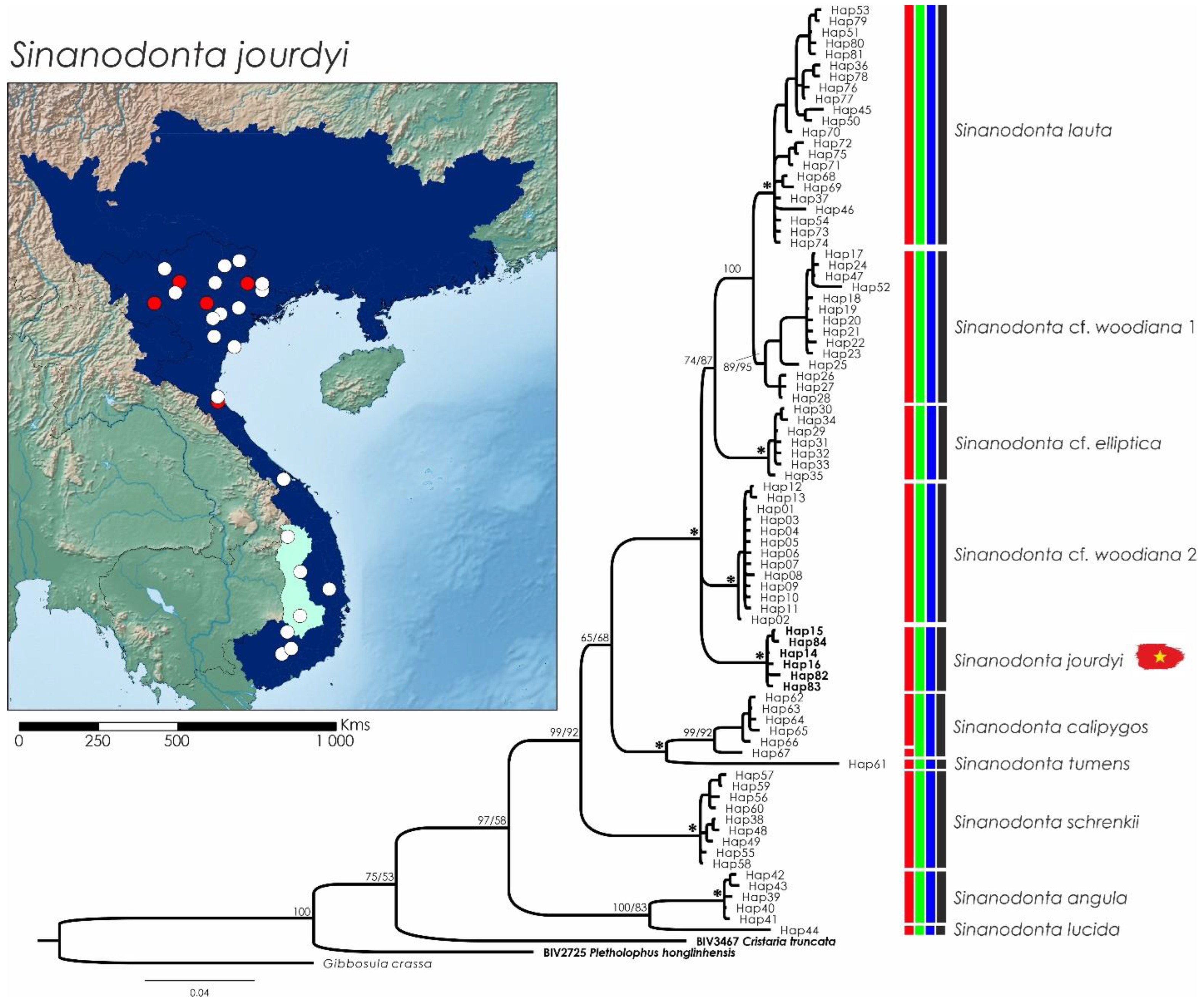Diversity 15 00710 g006