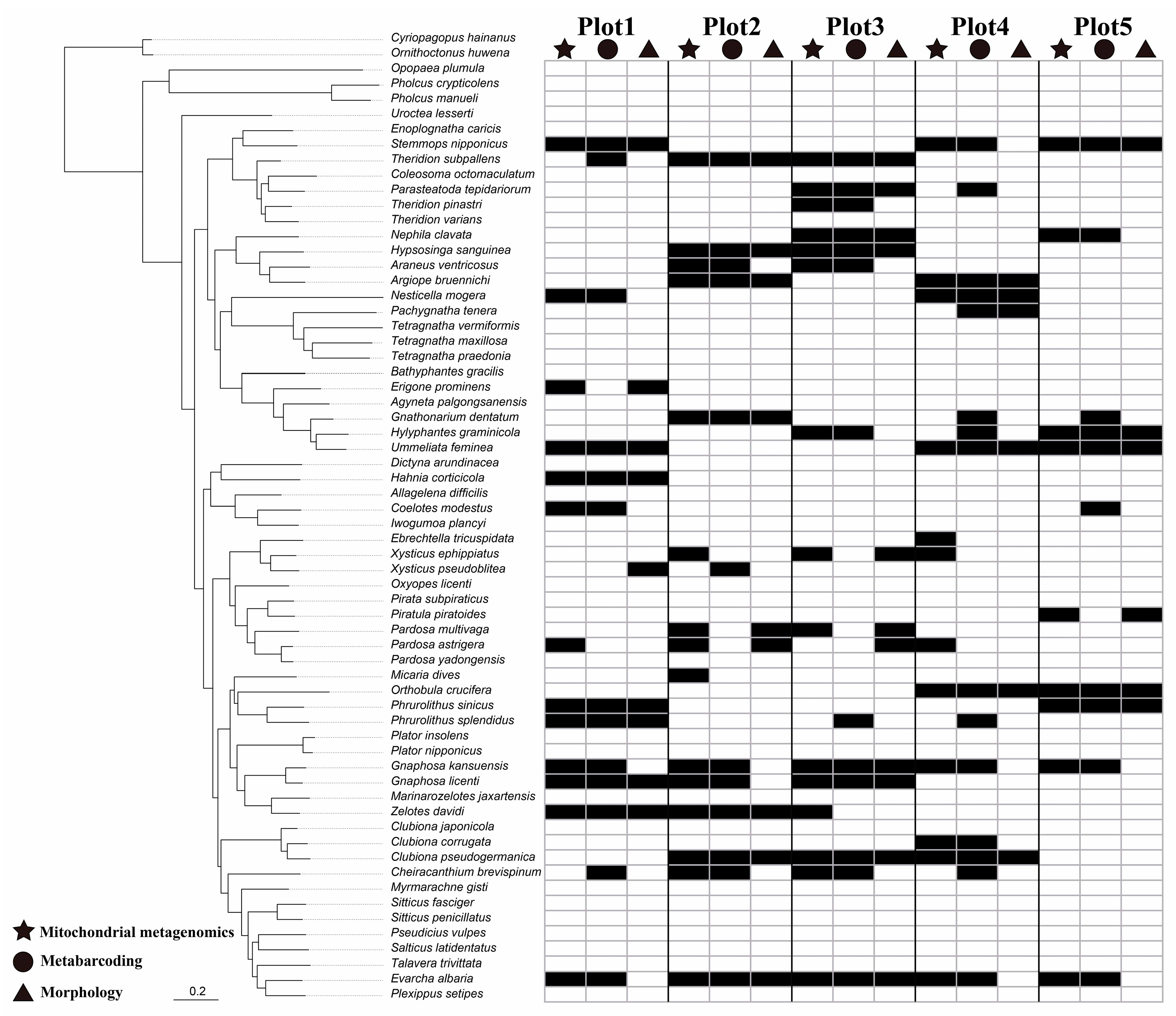 Diversity 15 00711 g004 Diversity 15 00711 g004