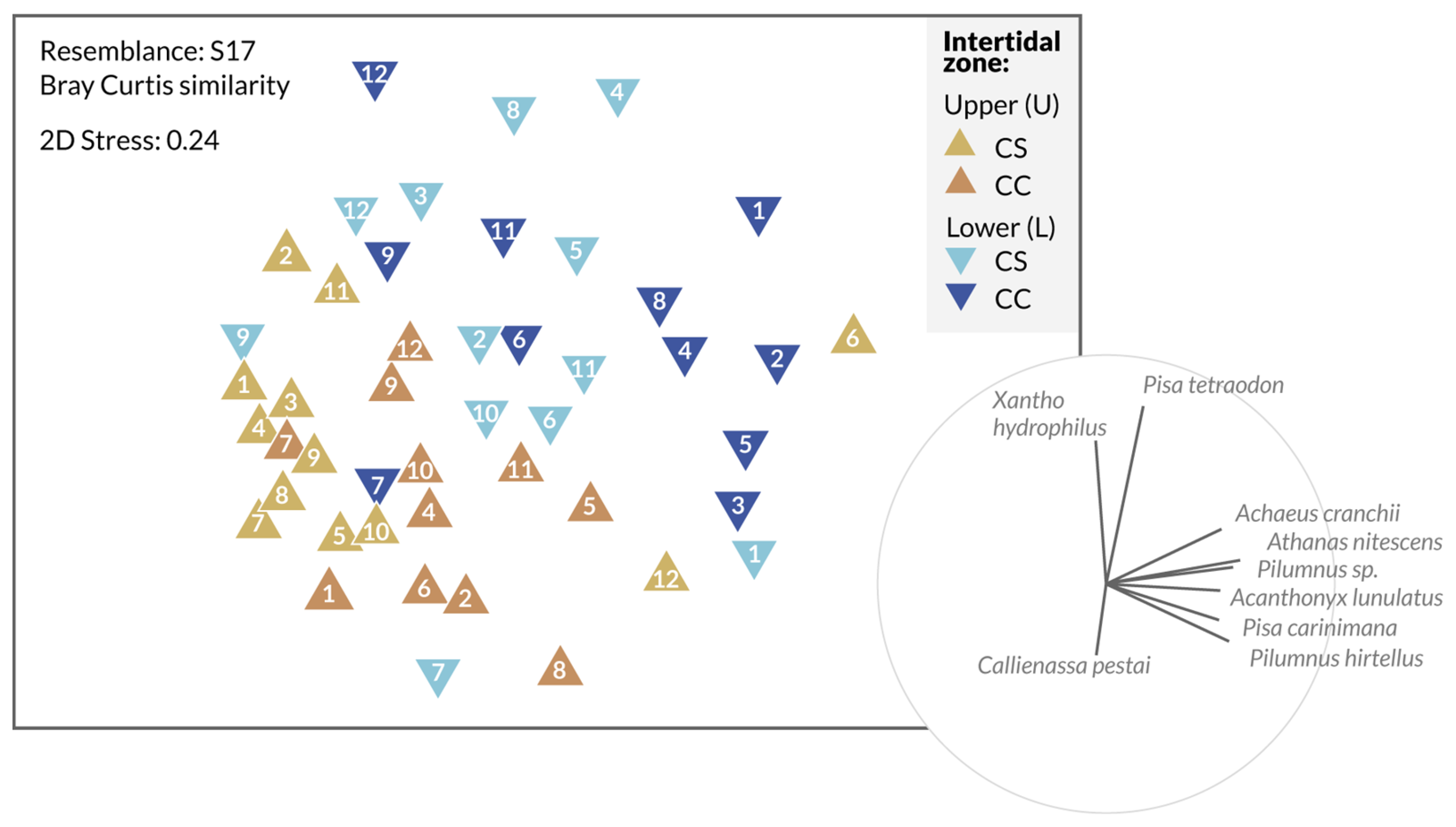 Diversity 15 00716 g004 Diversity 15 00716 g004
