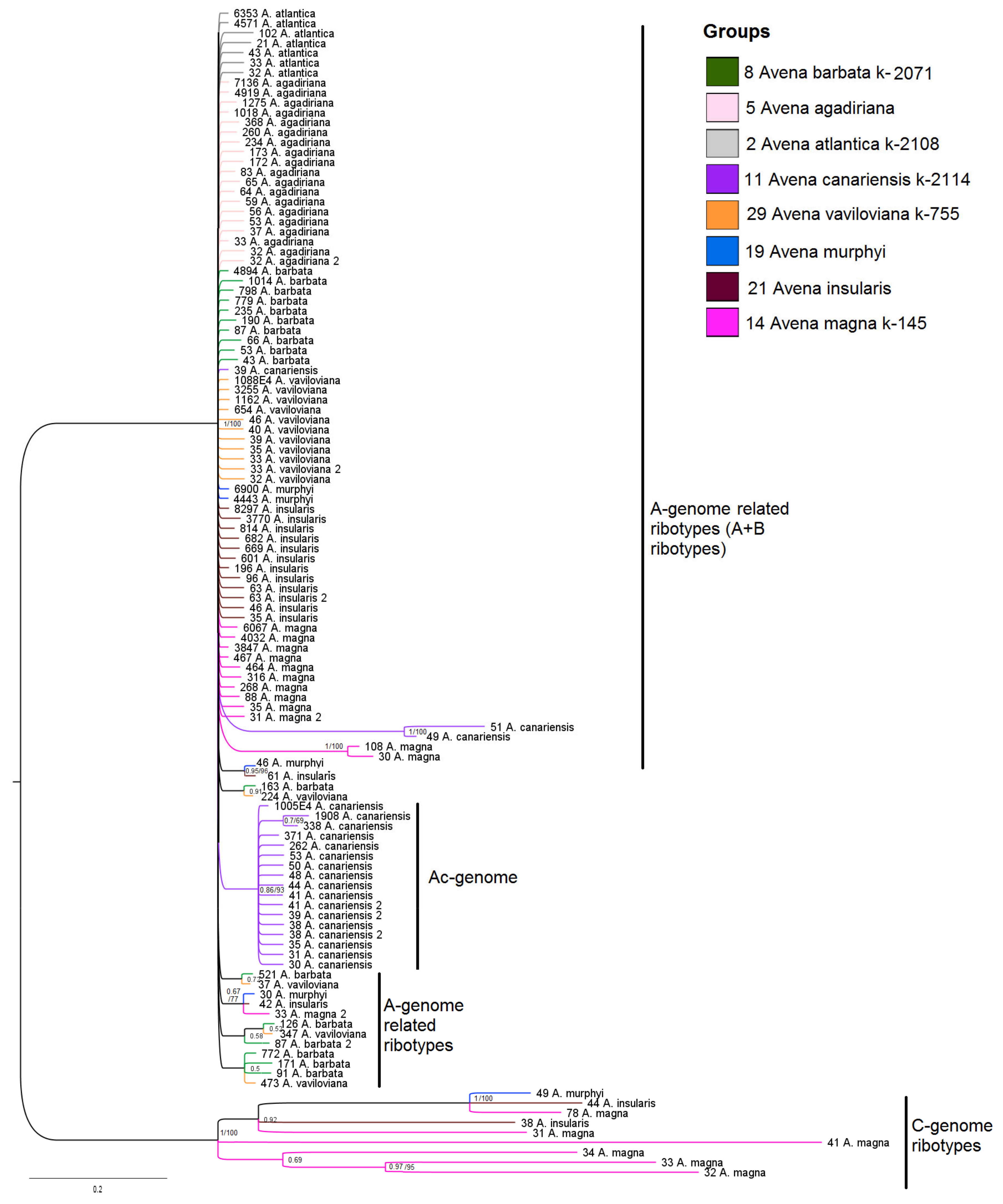 Diversity 15 00717 g002