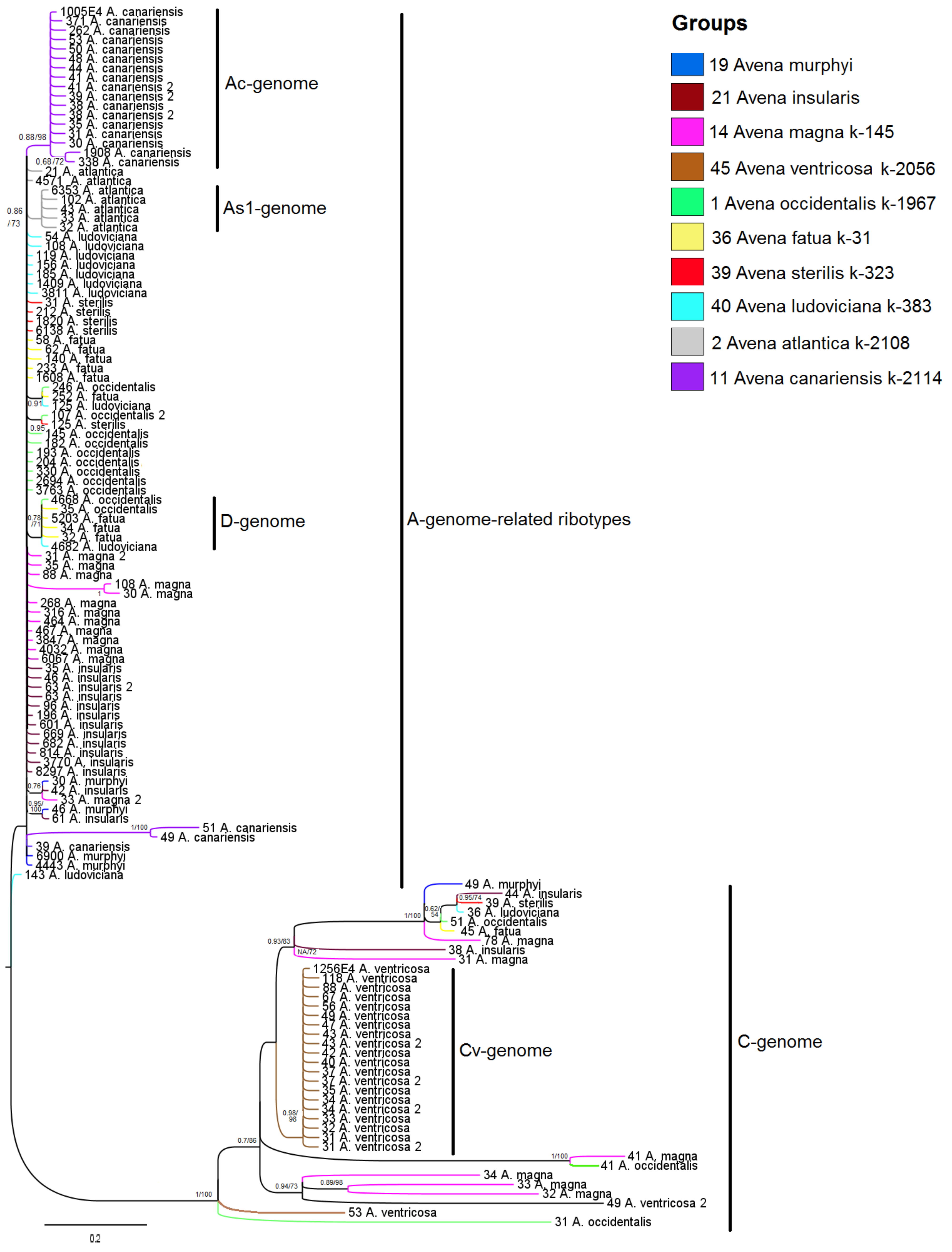 Diversity 15 00717 g004