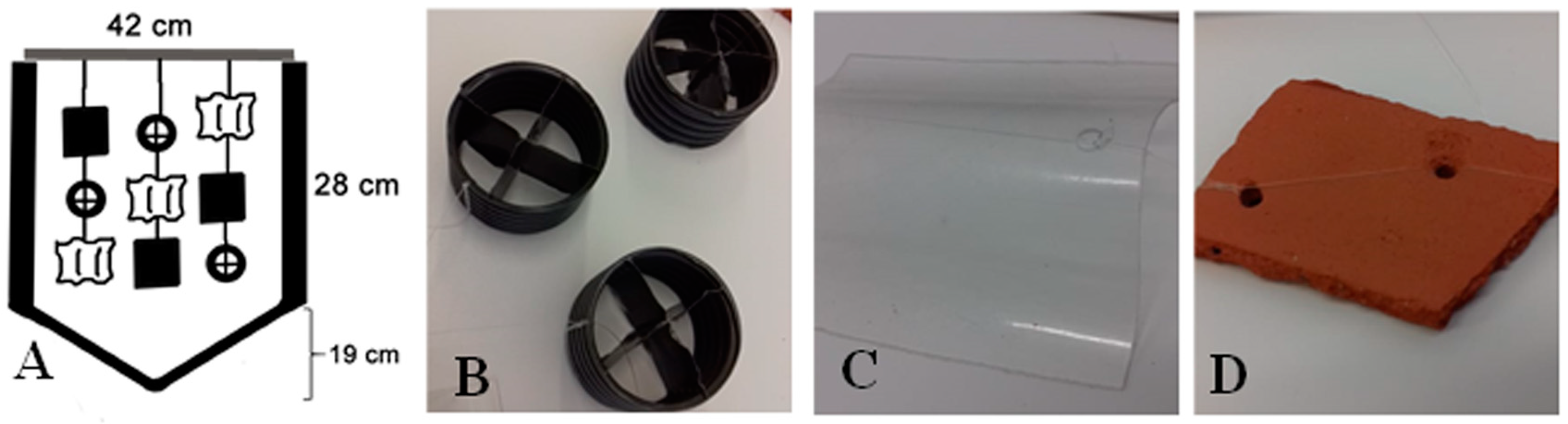 Diversity 15 00722 g001 Diversity 15 00722 g001