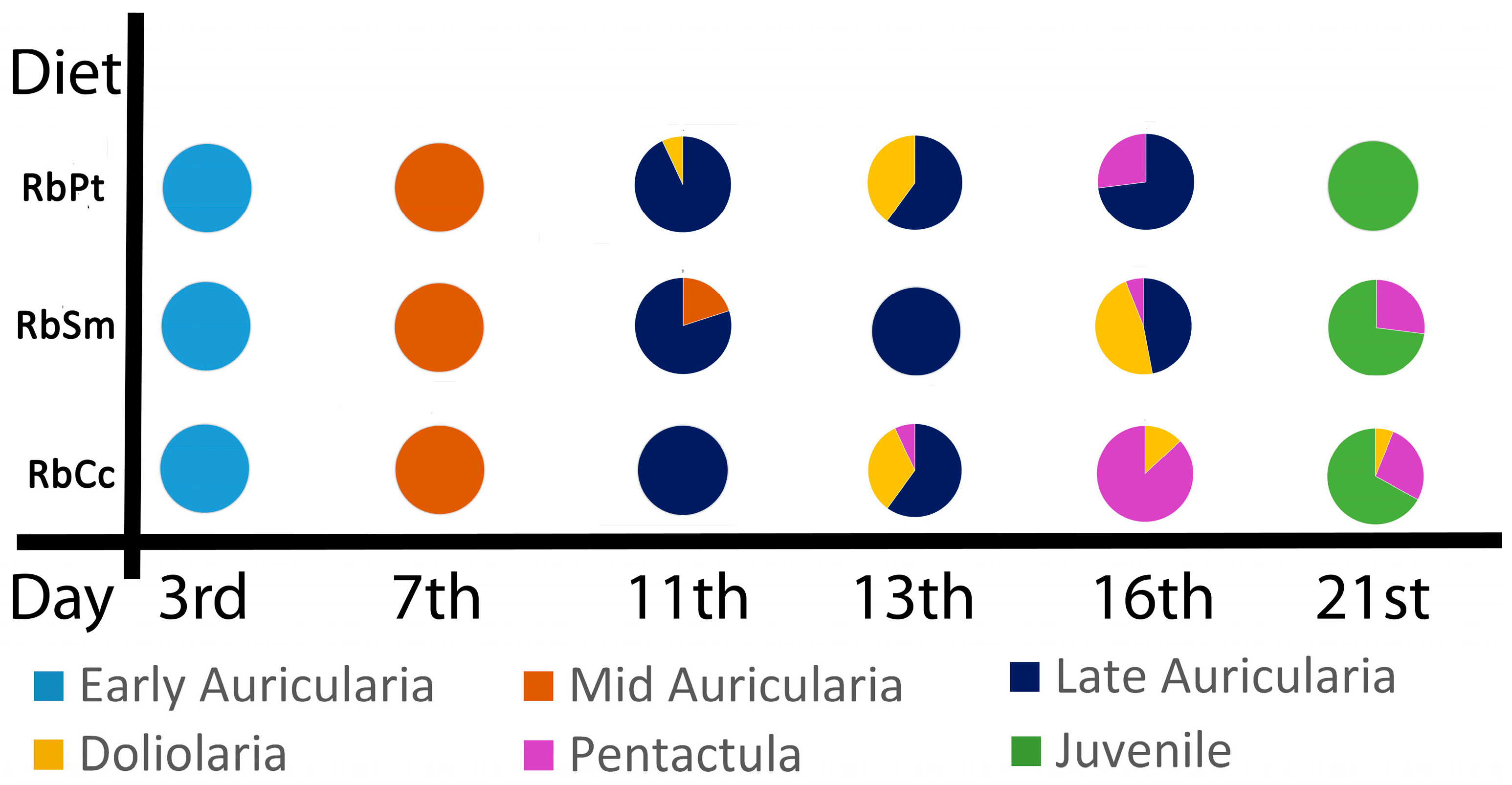 Diversity 15 00722 g004 Diversity 15 00722 g004