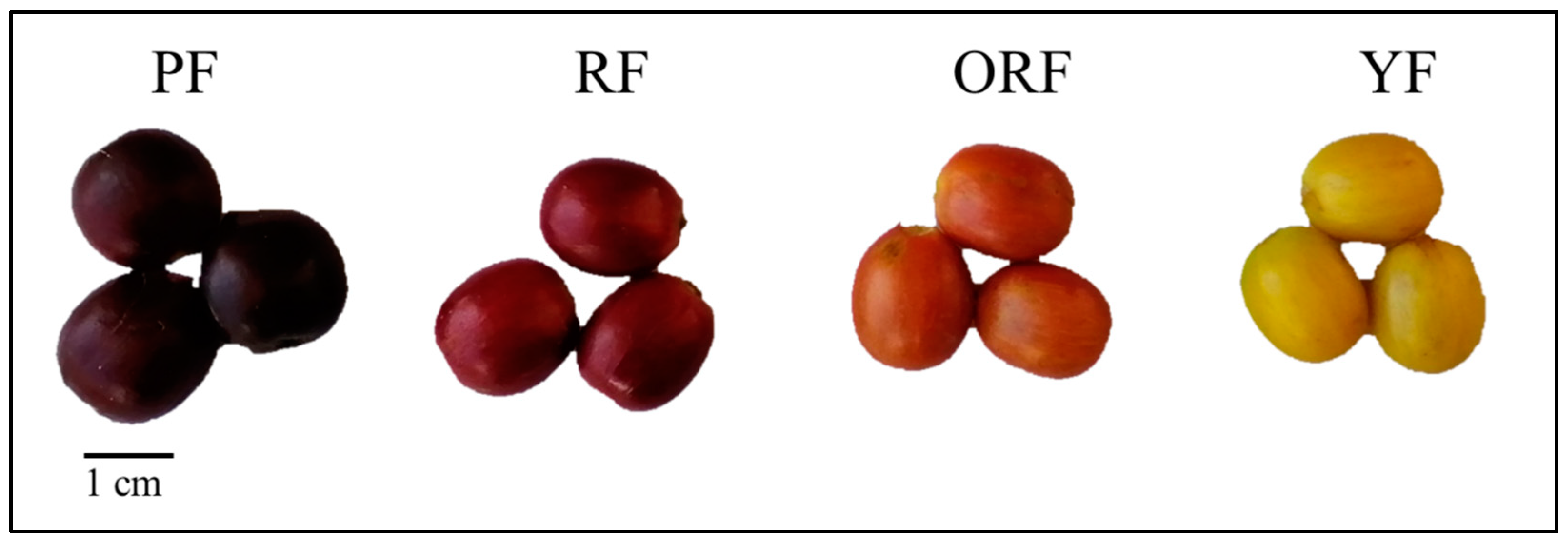 Diversity 15 00724 g001 Diversity 15 00724 g001