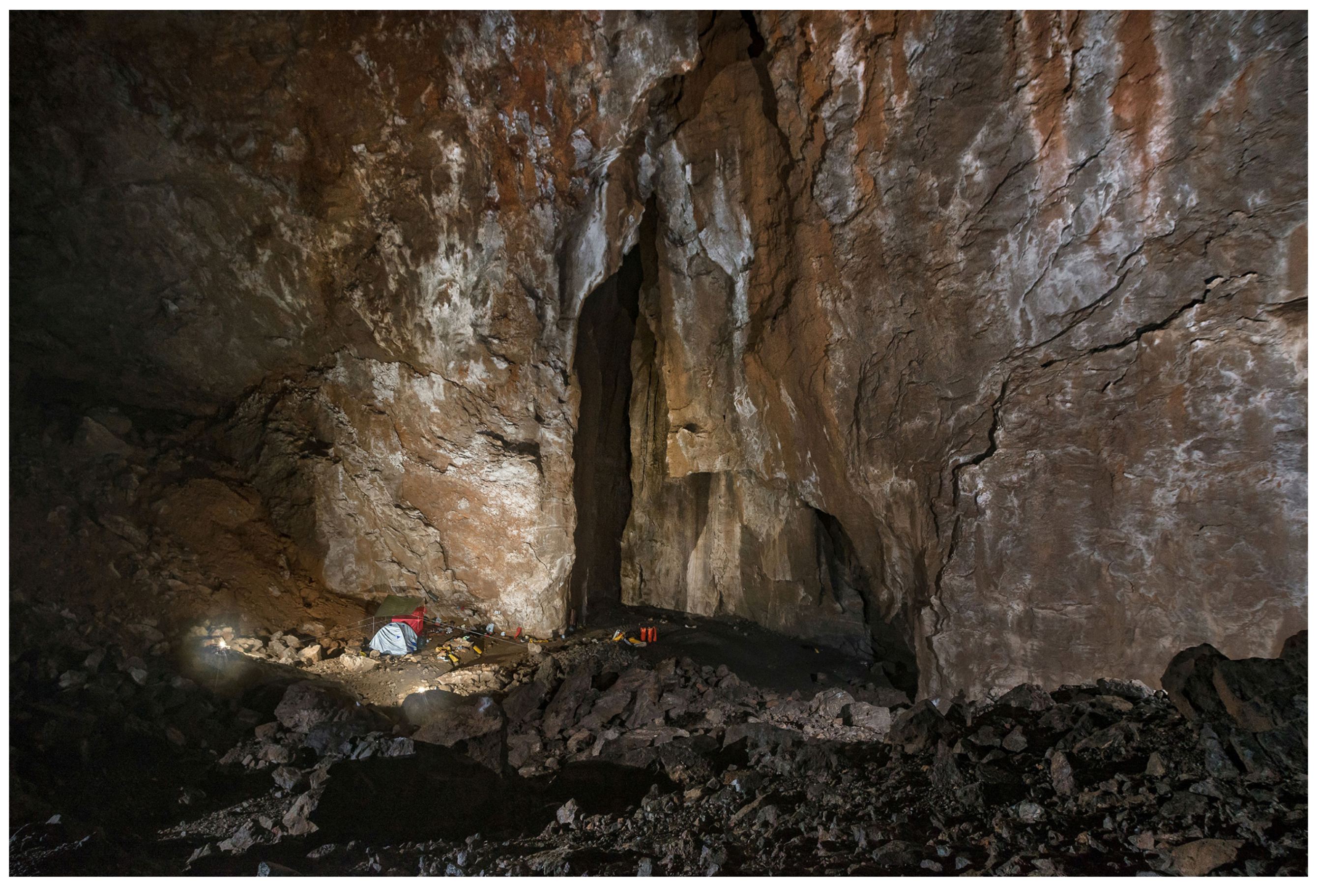 Diversity 15 00726 g003 Diversity 15 00726 g003