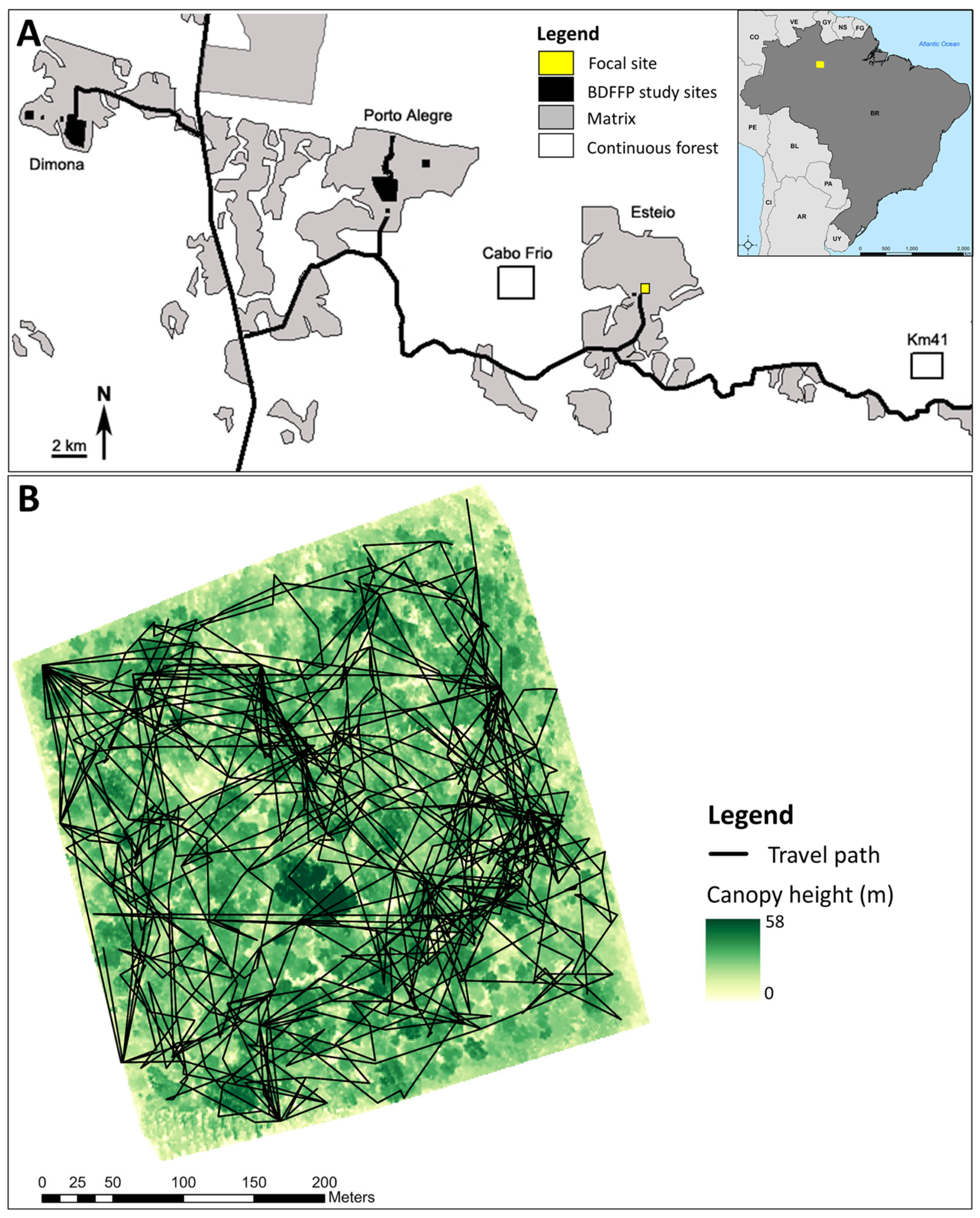Diversity 15 00731 g001 Diversity 15 00731 g001
