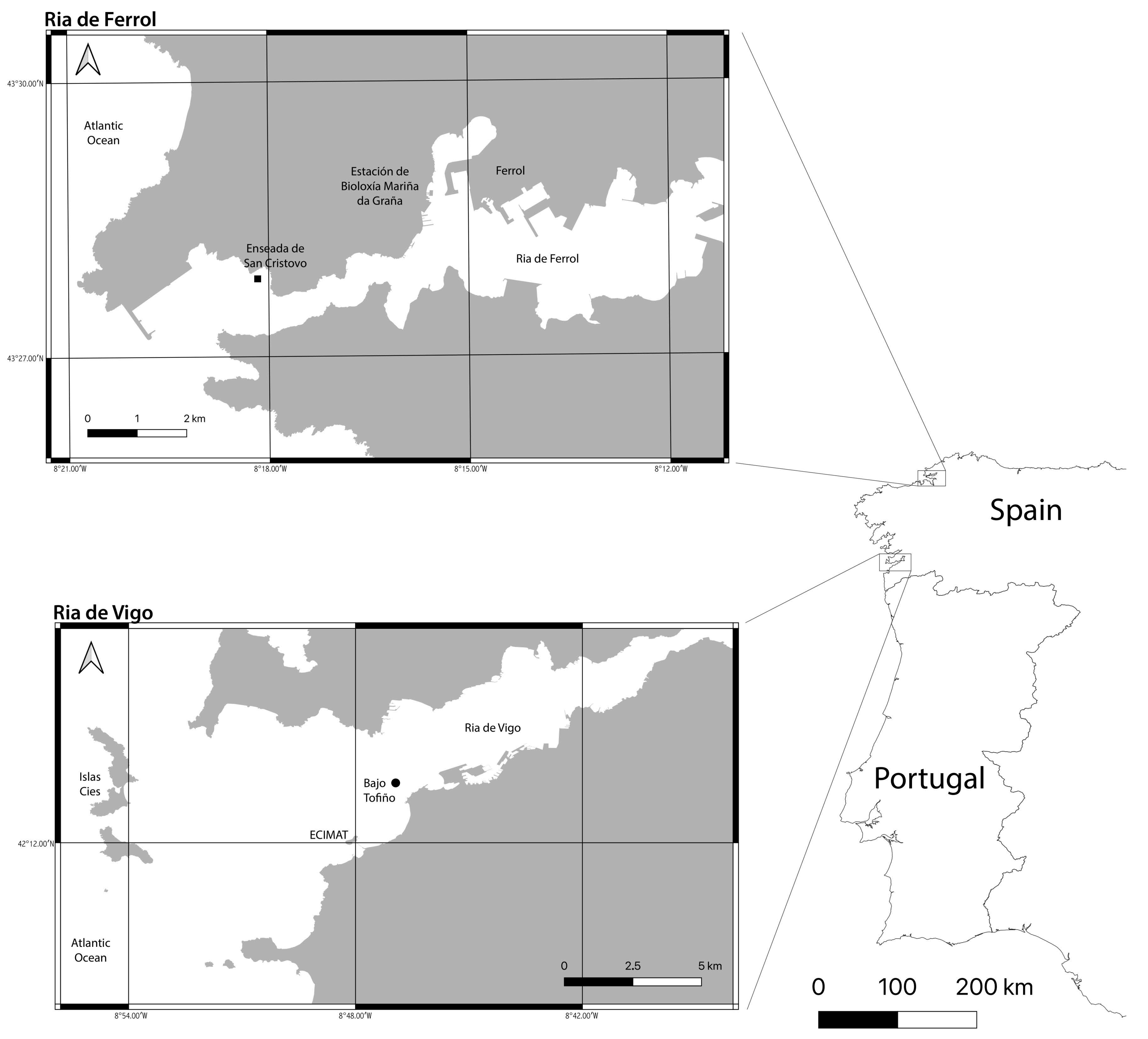 Diversity 15 00733 g001