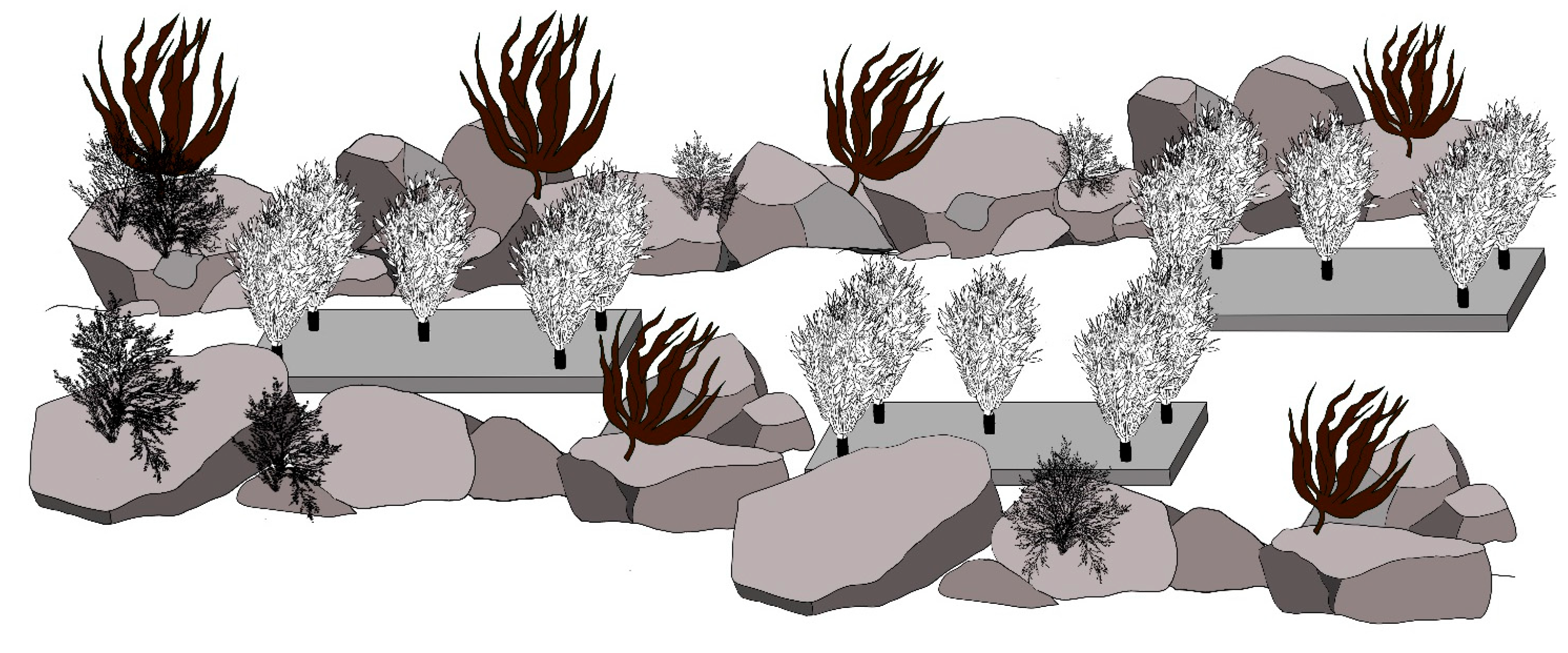 Diversity 15 00733 g003