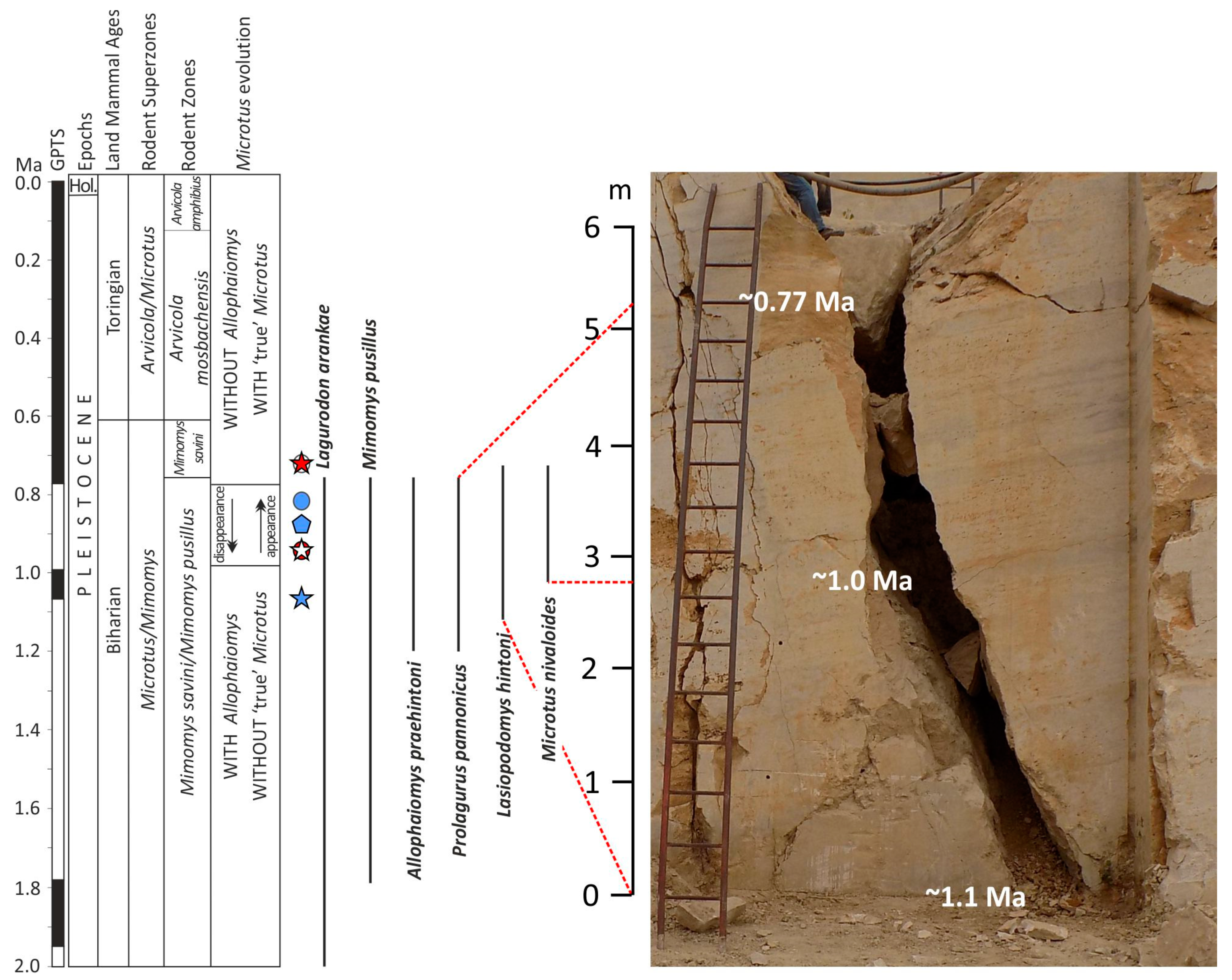 Diversity 15 00736 g005 Diversity 15 00736 g005