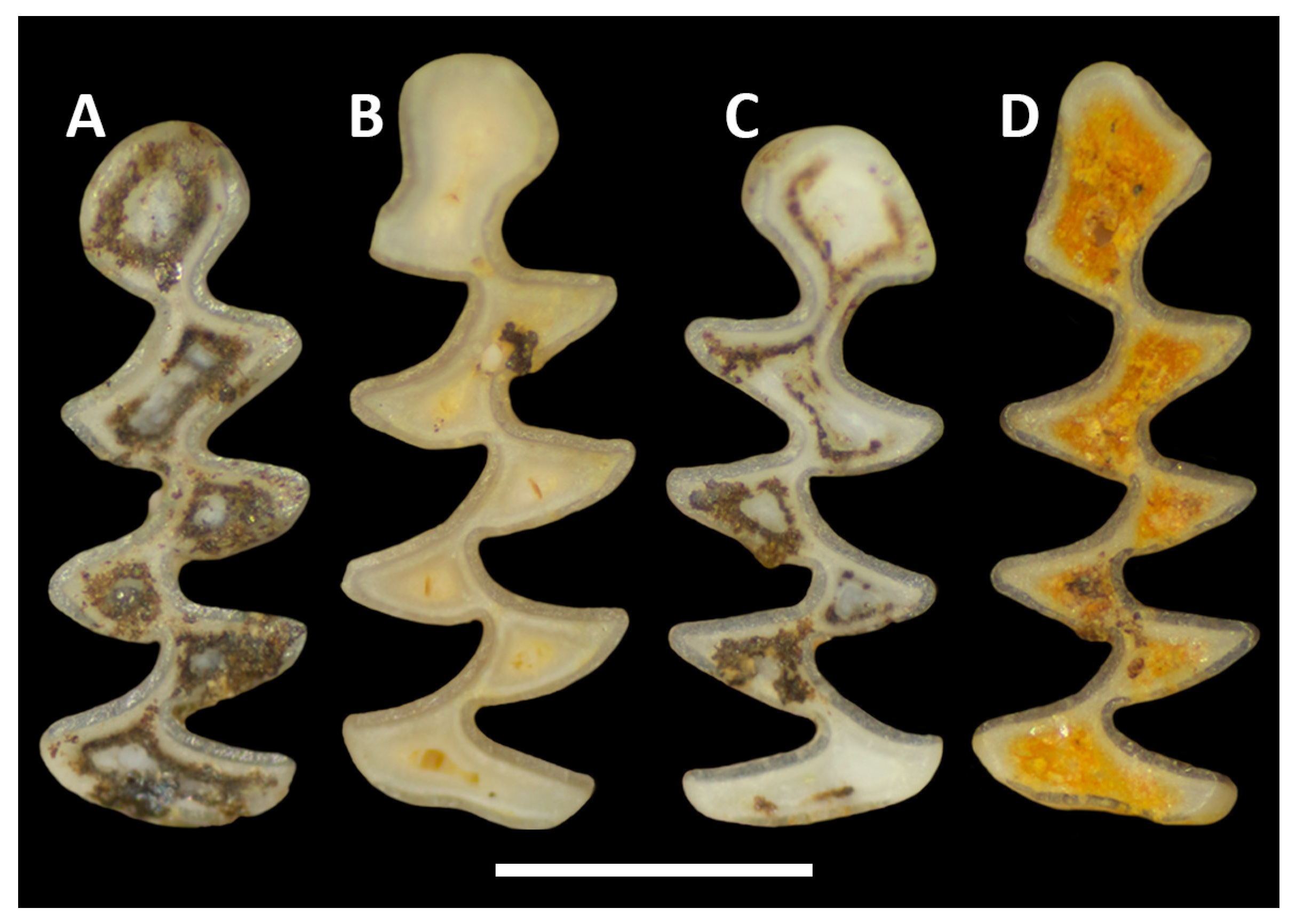 Diversity 15 00736 g006 Diversity 15 00736 g006