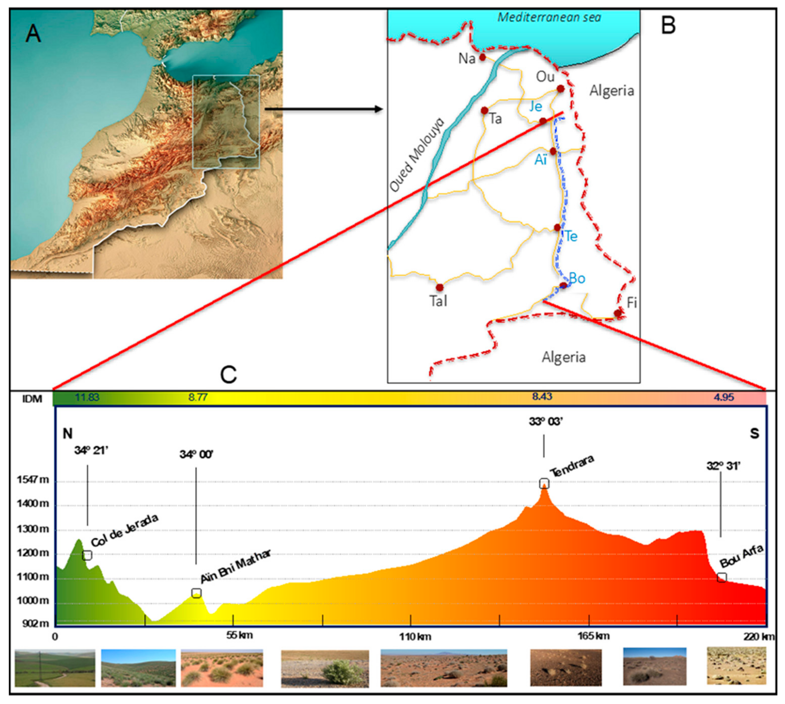 Diversity 15 00737 g001